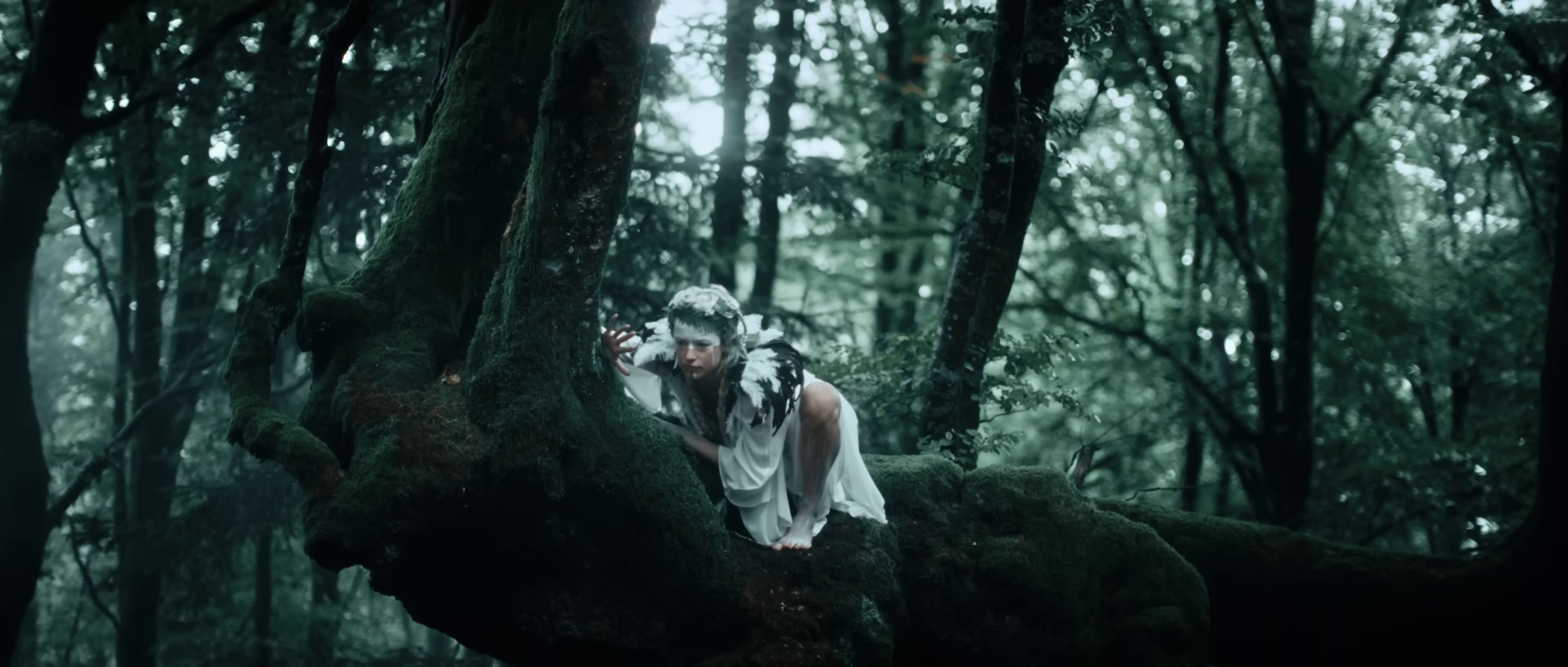 Troll Kalla Mik (2022) —  shot,  lighting