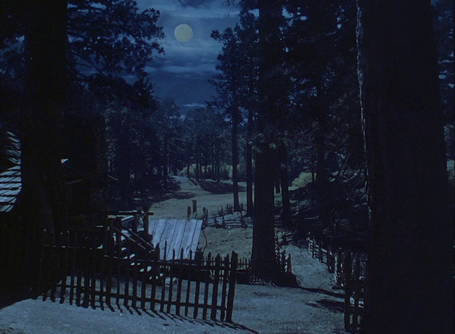 The Shepherd of the Hills (1941) —  shot,  lighting