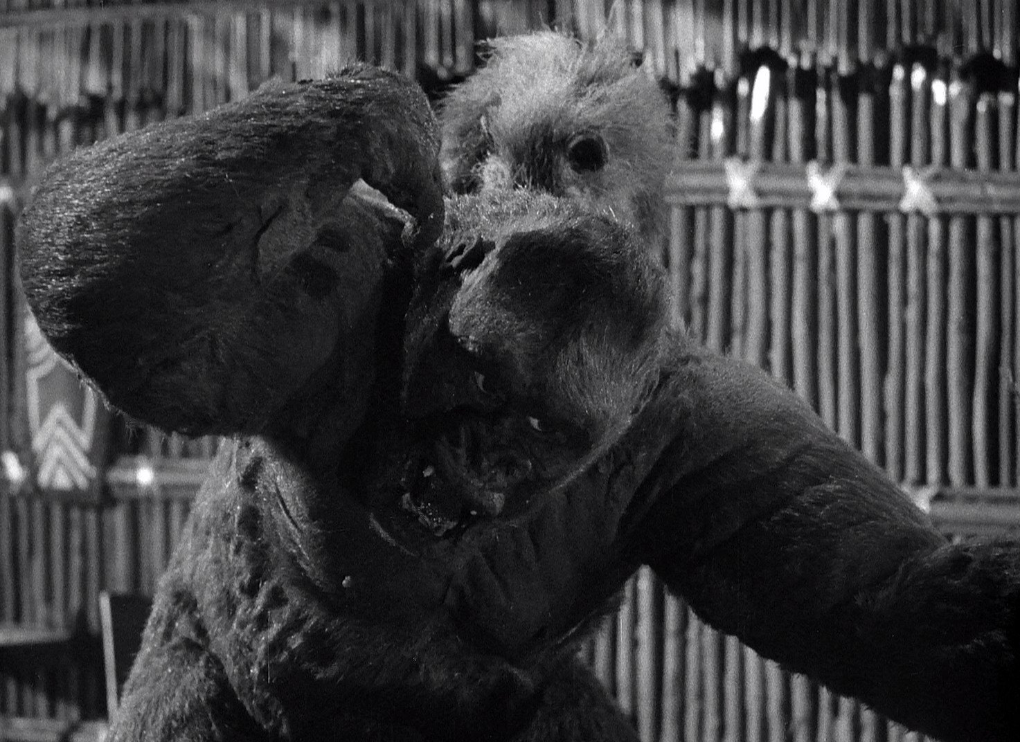 Mighty Joe Young (1949) —  shot,  lighting