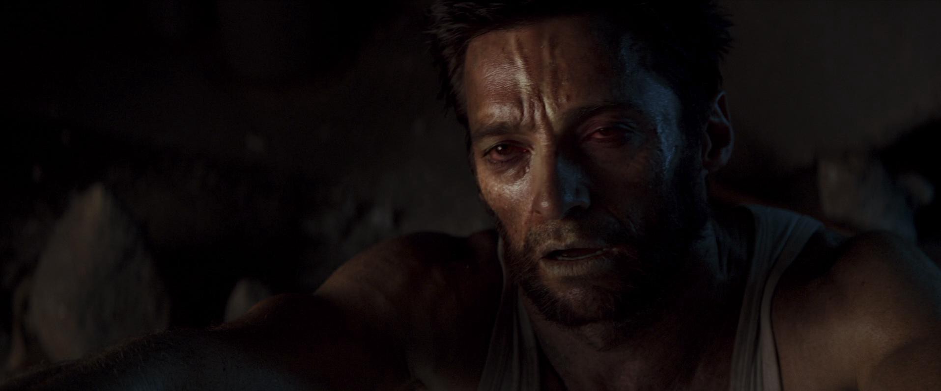 The Wolverine (2013) —  shot,  lighting