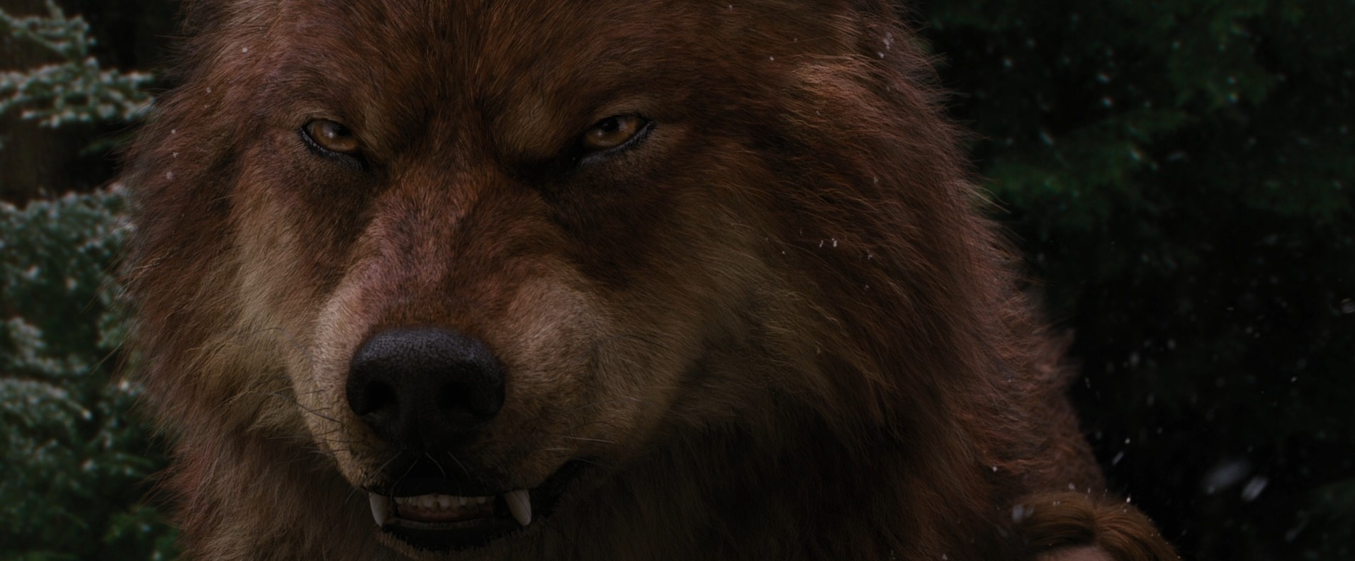 The Twilight Saga: Breaking Dawn - Part 2 (2012) —  shot,  lighting