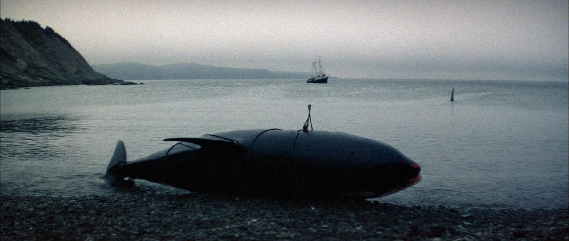 Orca (1977) —  shot,  lighting