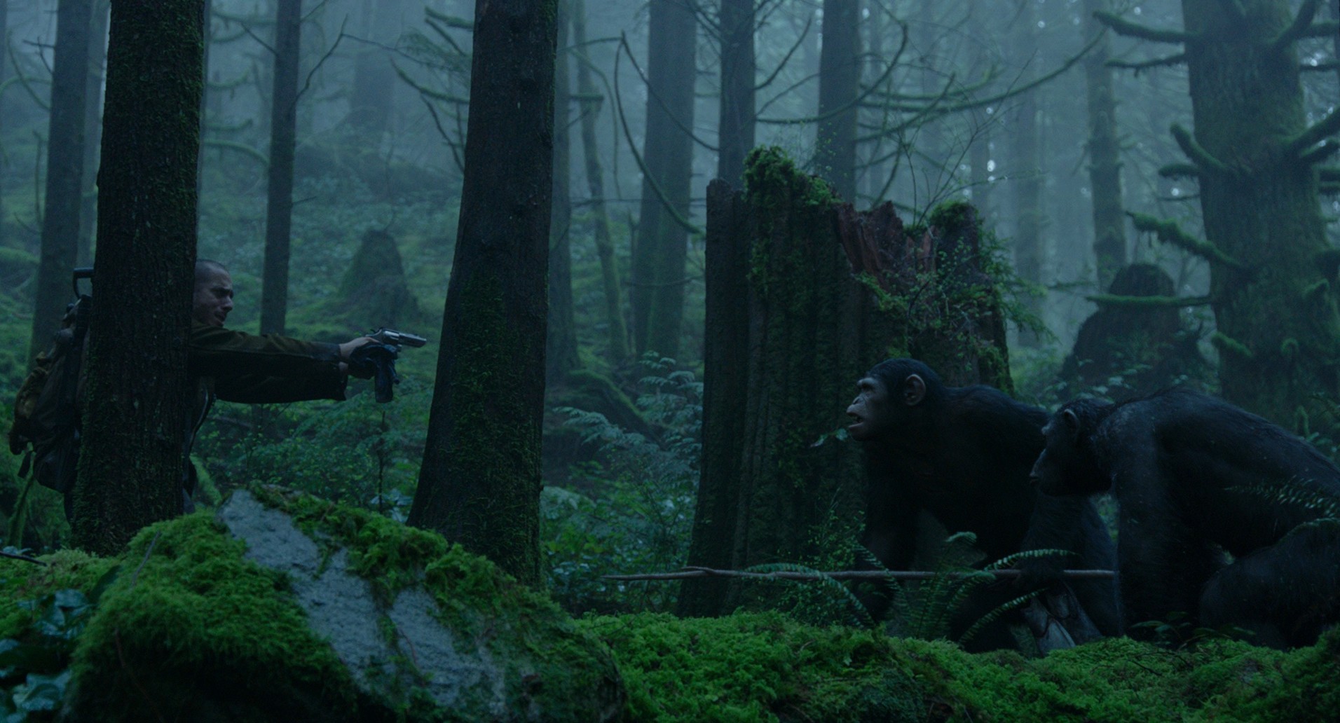 Dawn of the Planet of the Apes (2014) —  shot,  lighting