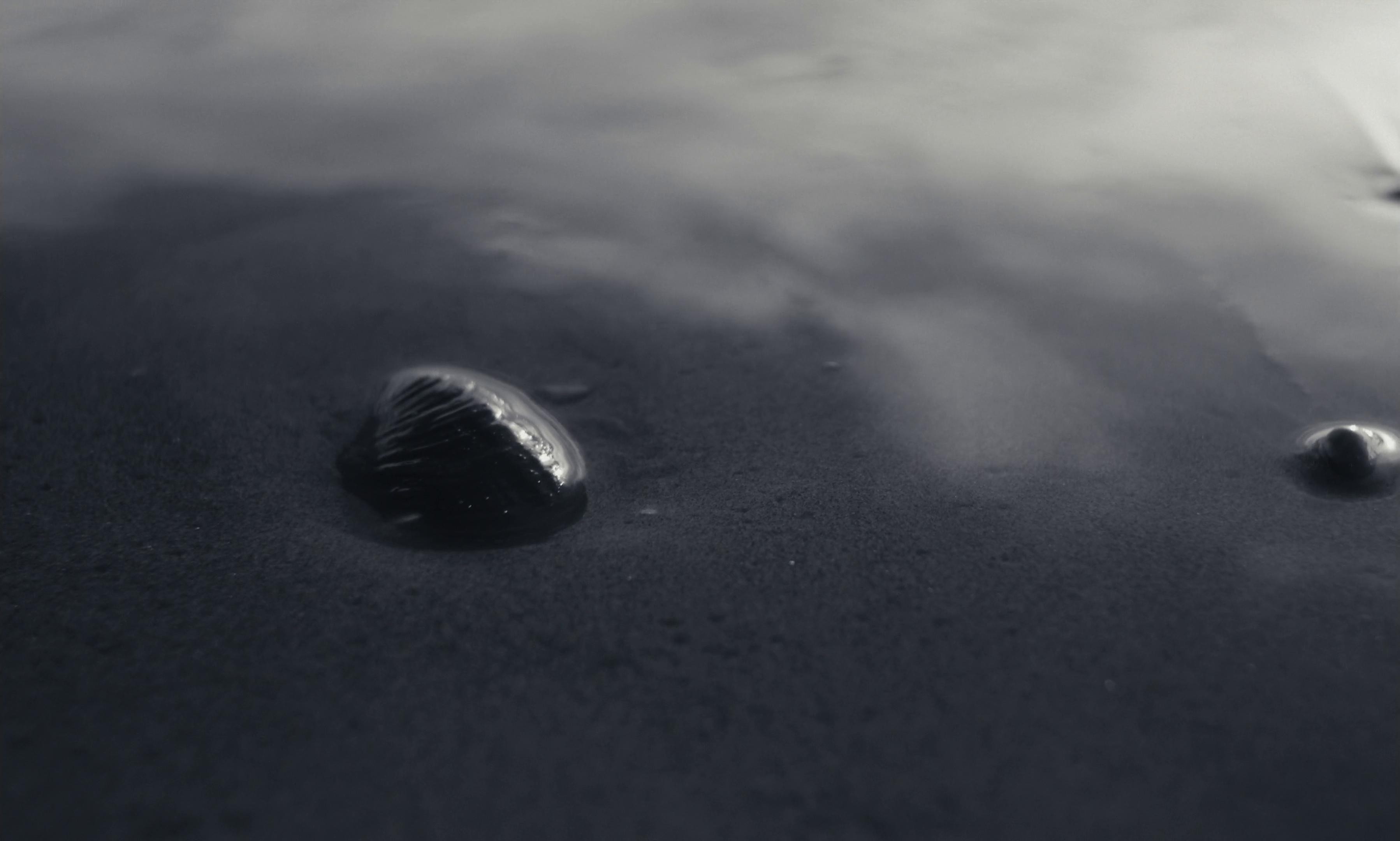 Stay Gold (2025) —  shot,  lighting