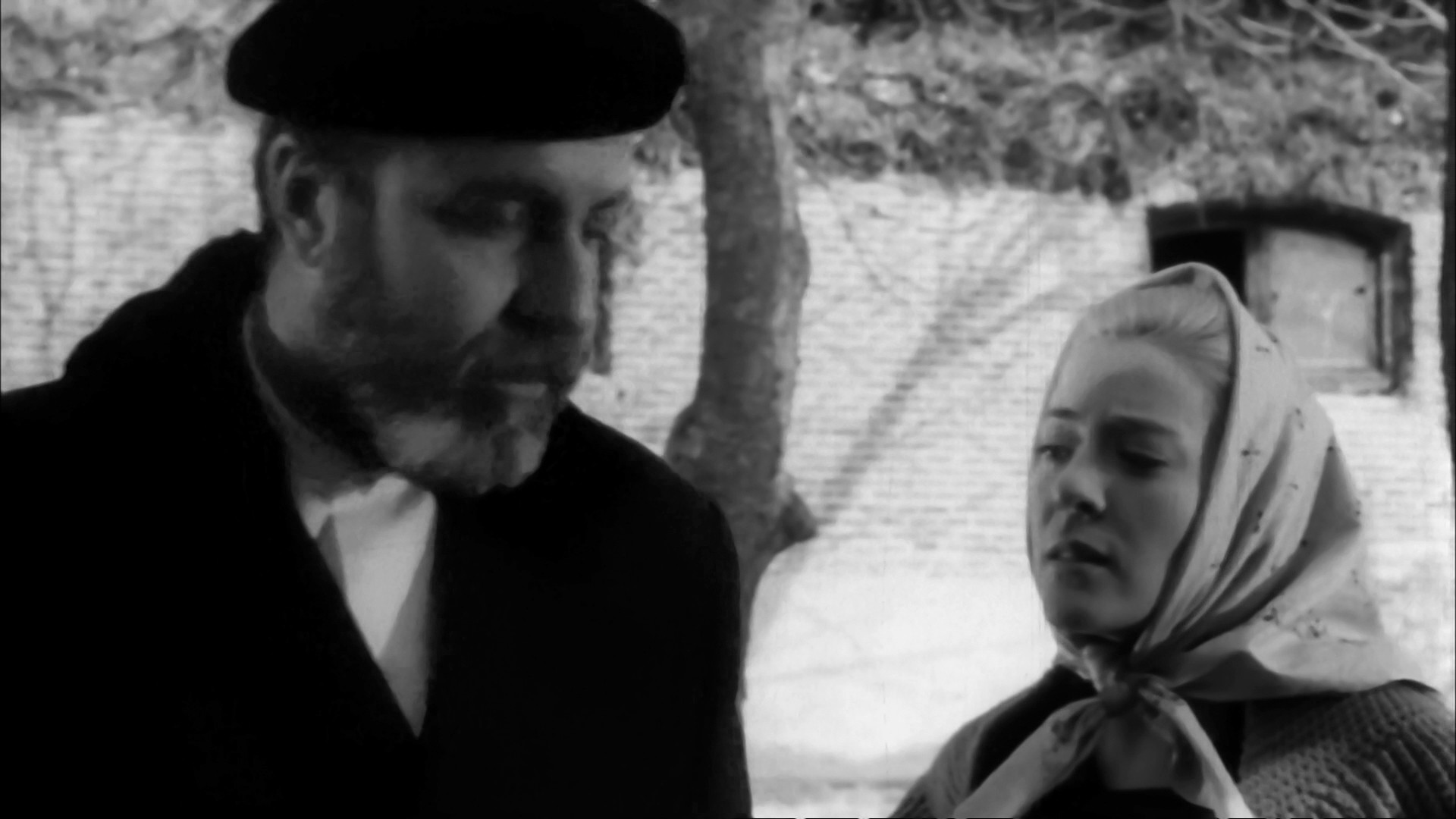 Viridiana (1961) —  shot,  lighting