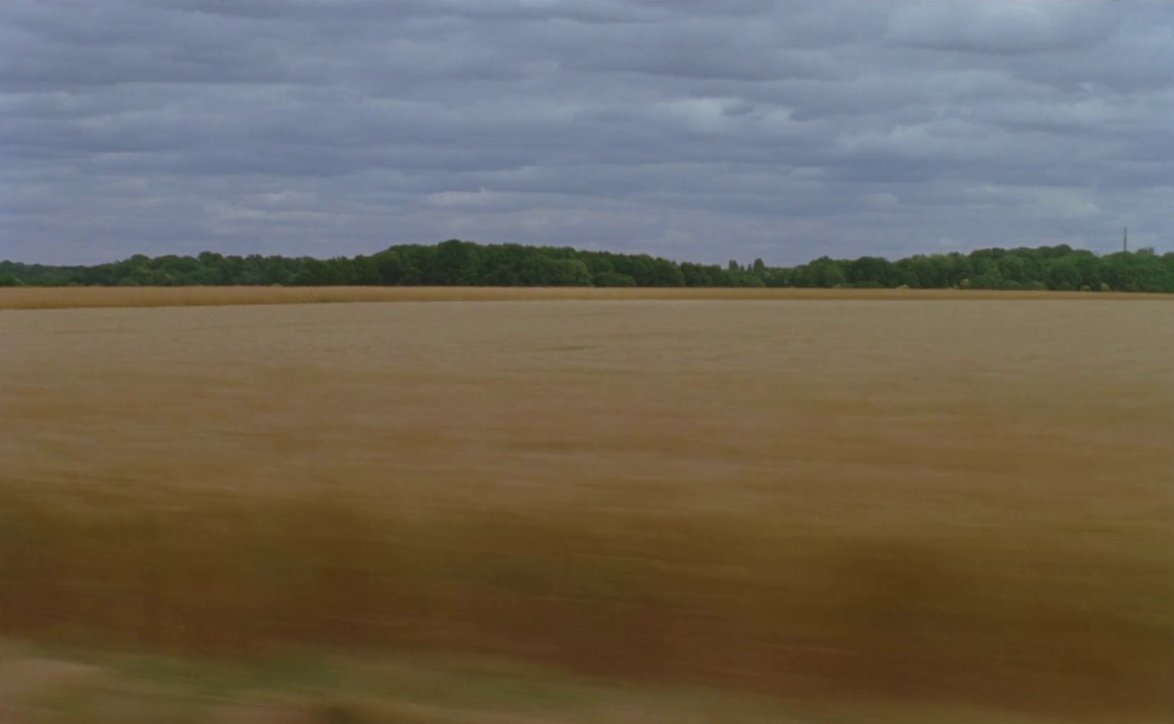 Les Filles Désir (2017) —  shot,  lighting