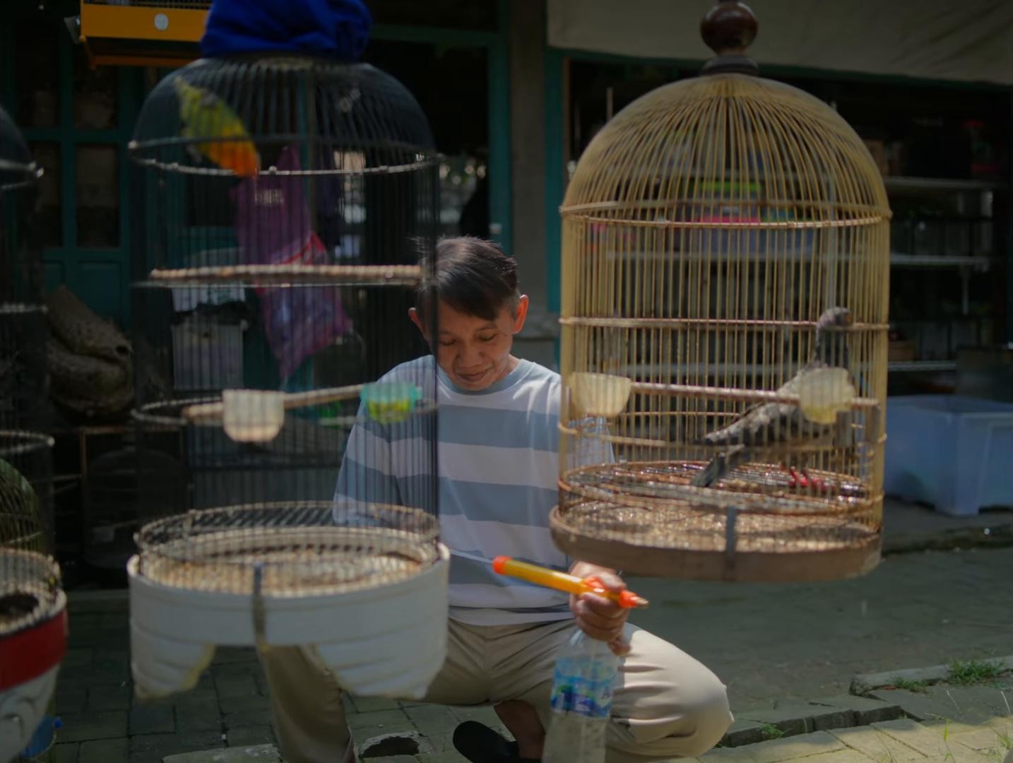 WE ARE STILL TOGETHER  (2025) —  shot,  lighting