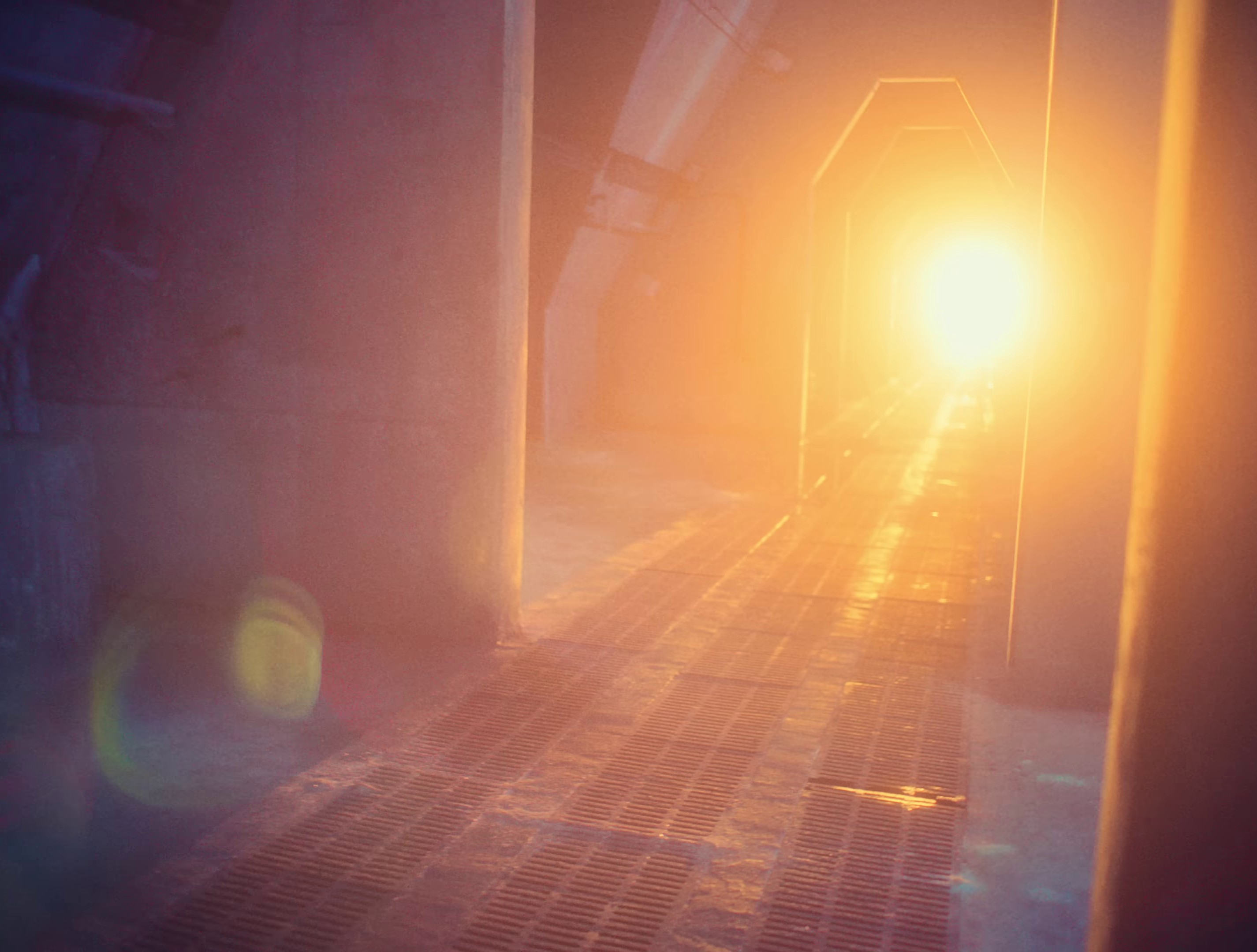 Falling or flying (2023) —  shot,  lighting