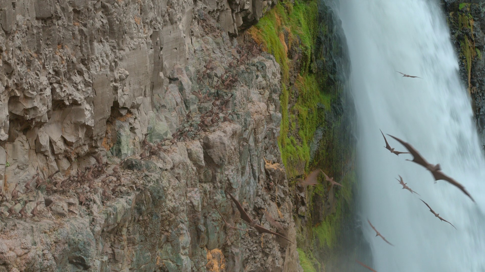 Freshwater (2022) —  shot,  lighting