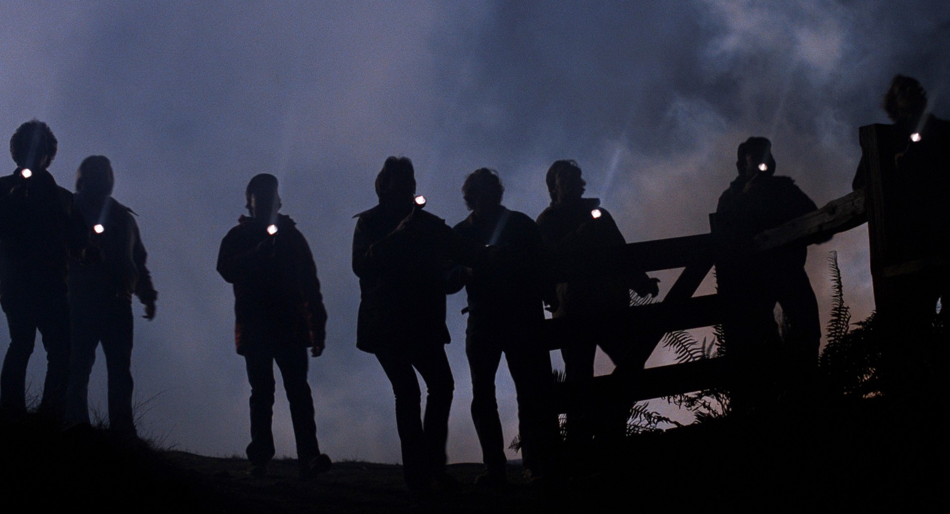 E.T. the Extra-Terrestrial (1982) —  shot,  lighting