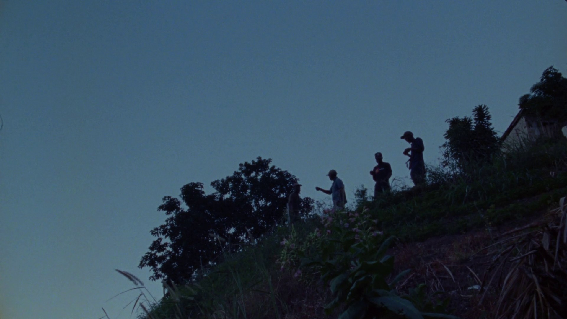 Easy skanking (2019) —  shot,  lighting