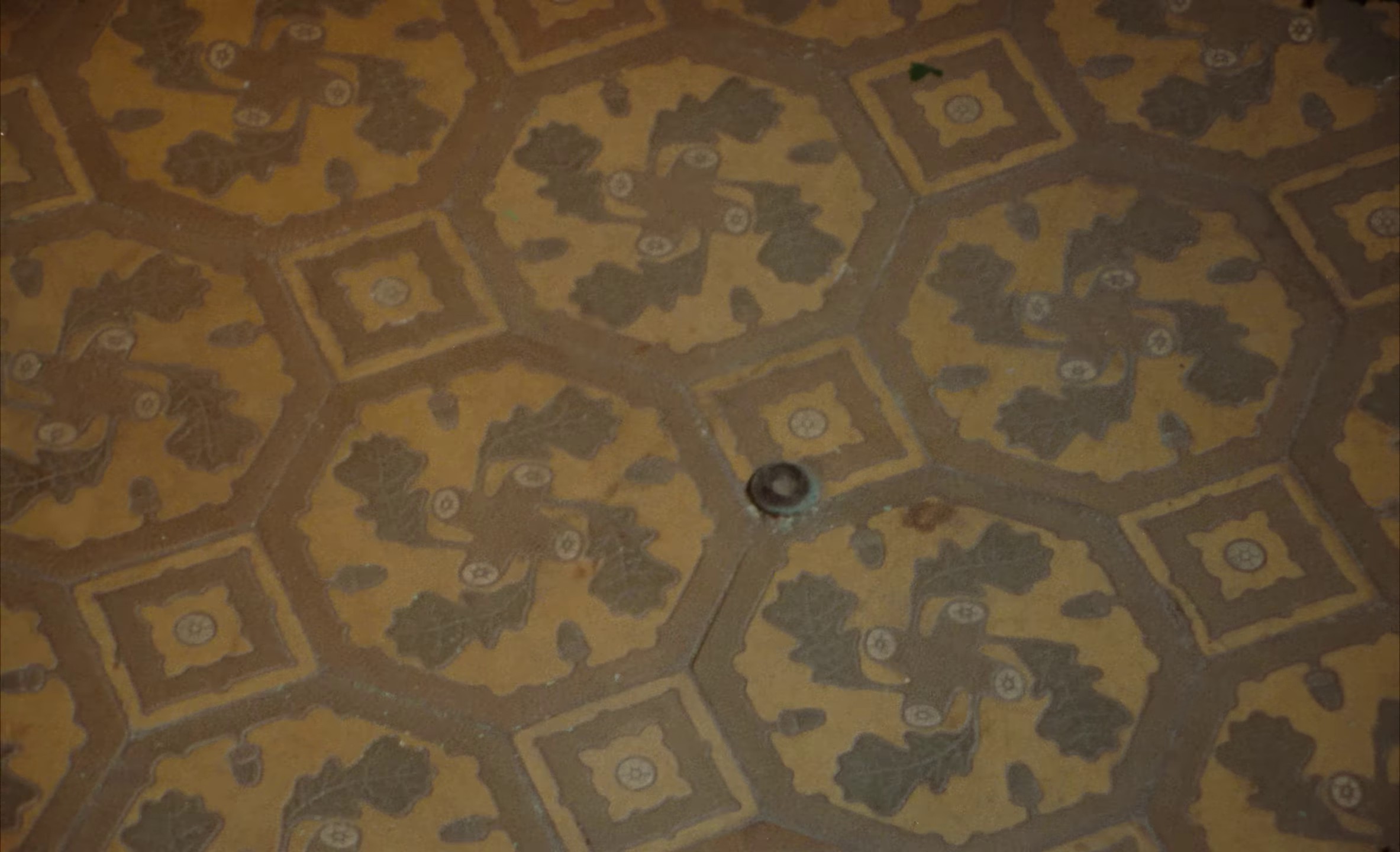 Real Love (2023) —  shot,  lighting