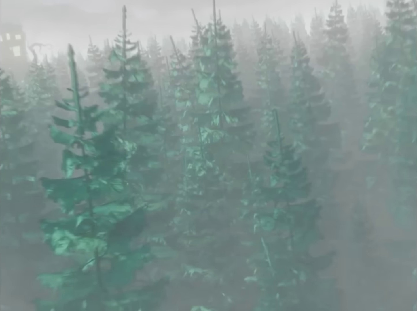 Reason (2024) —  shot,  lighting