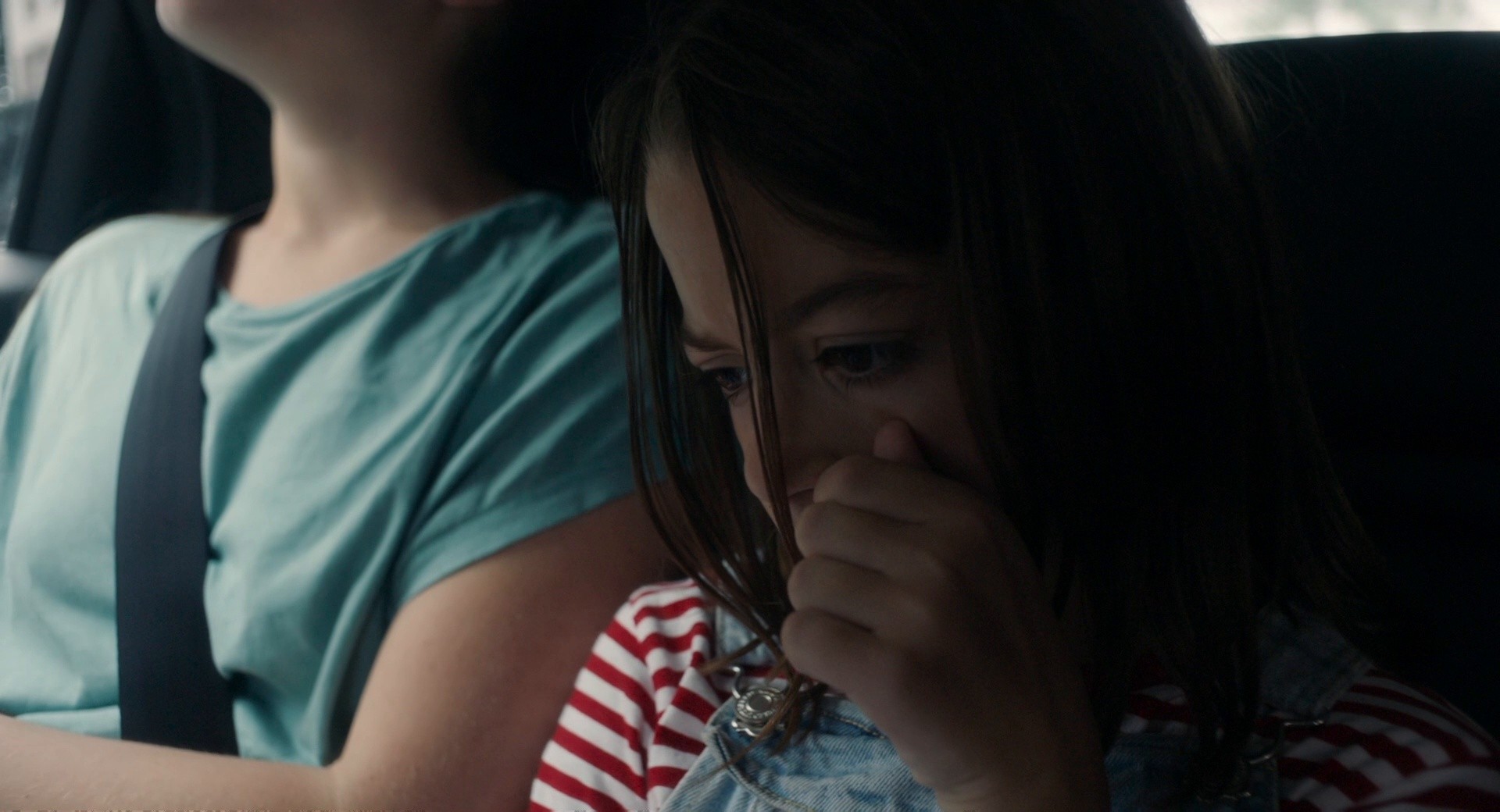 20,000 Species of Bees (2023) —  shot,  lighting