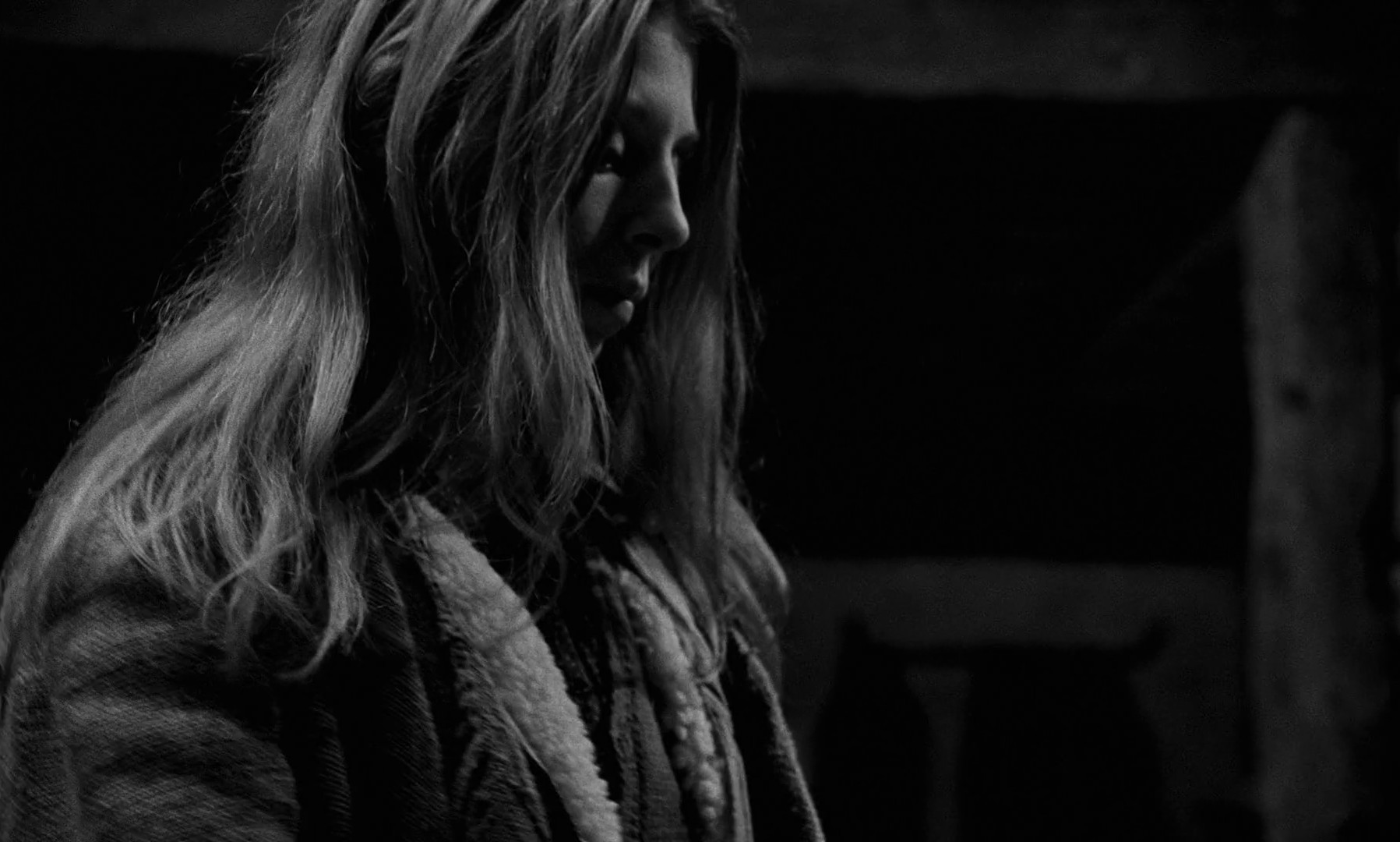 The Turin Horse (2012) —  shot,  lighting