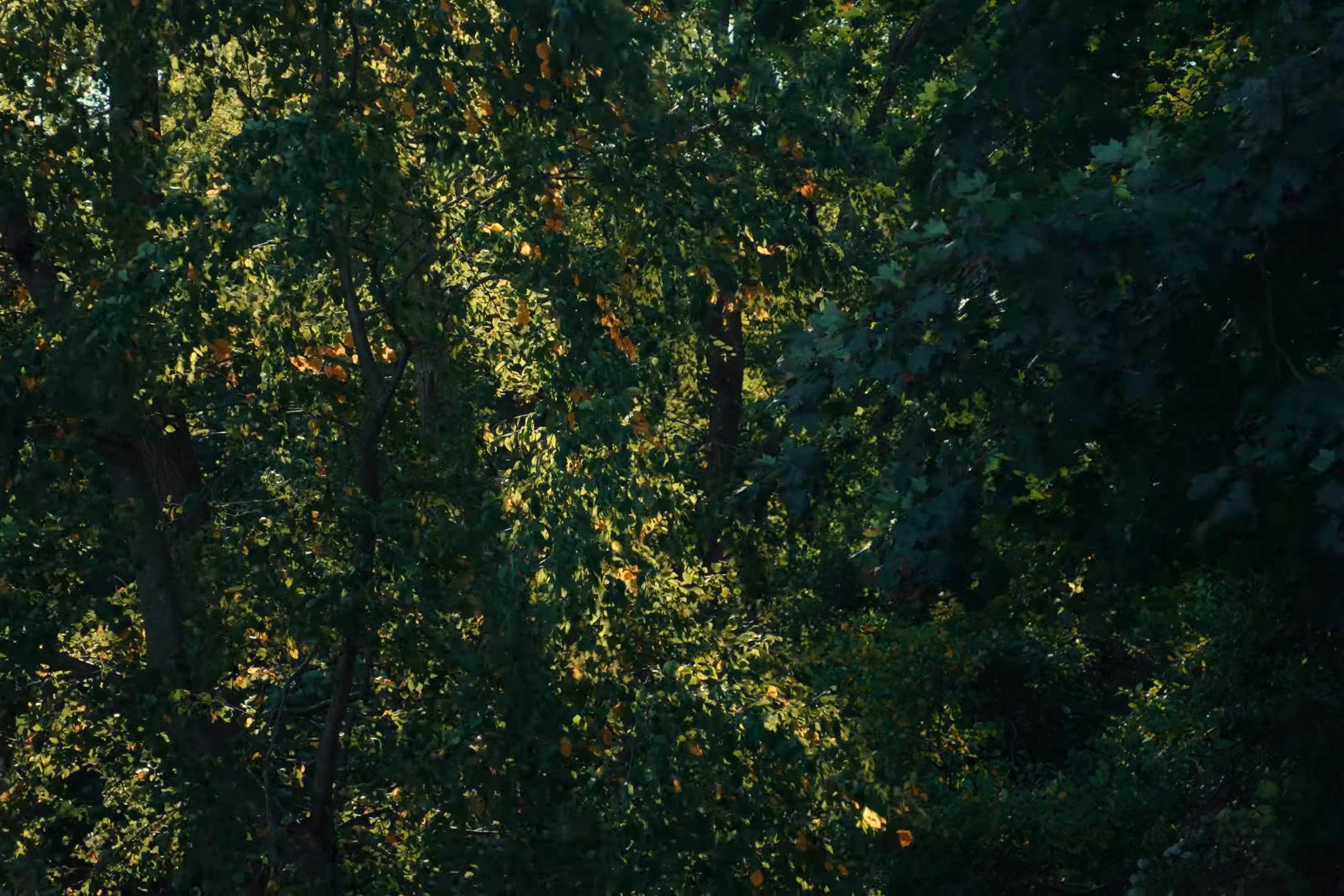 Ten Thousand Years (2025) —  shot,  lighting