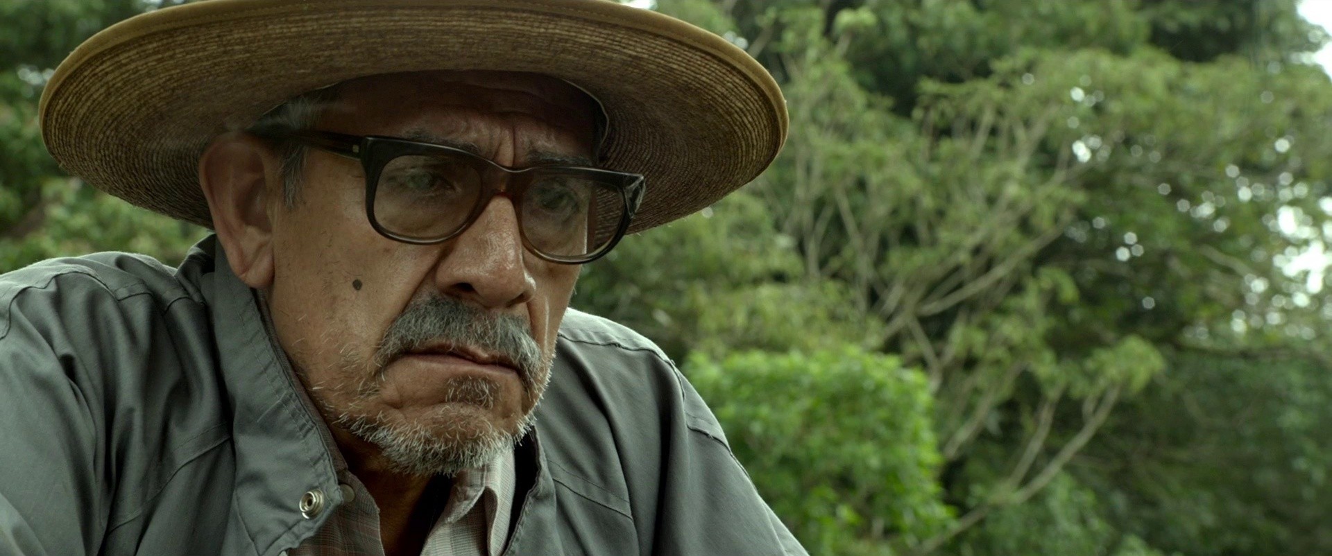 I Dream in Another Language (2018) —  shot,  lighting