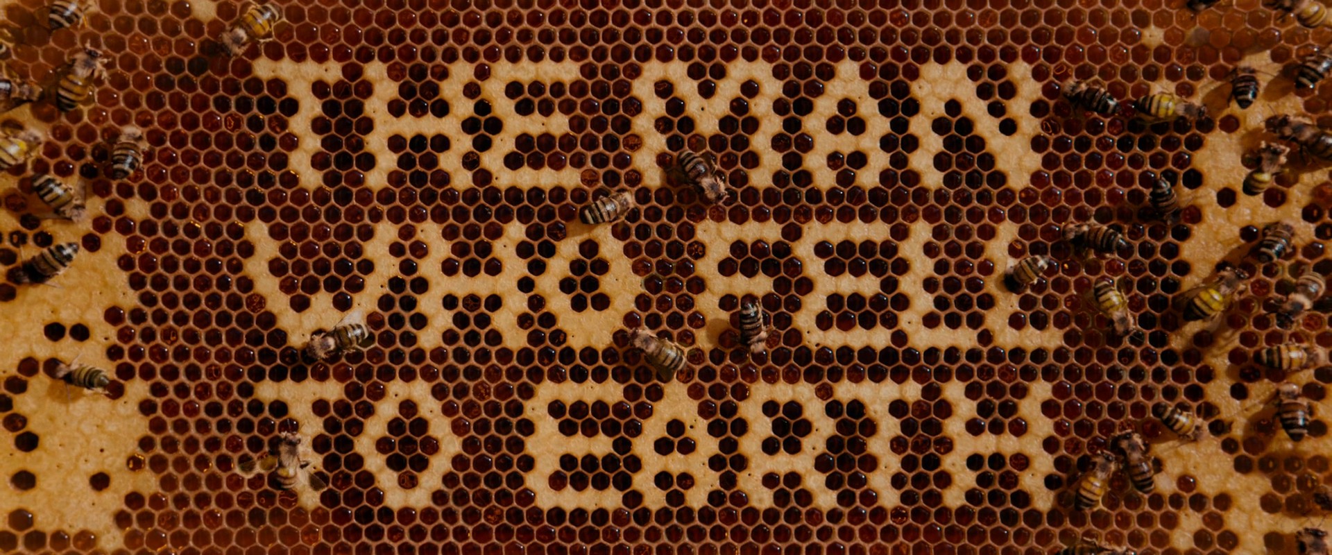 Under Pressure (2022) —  shot,  lighting