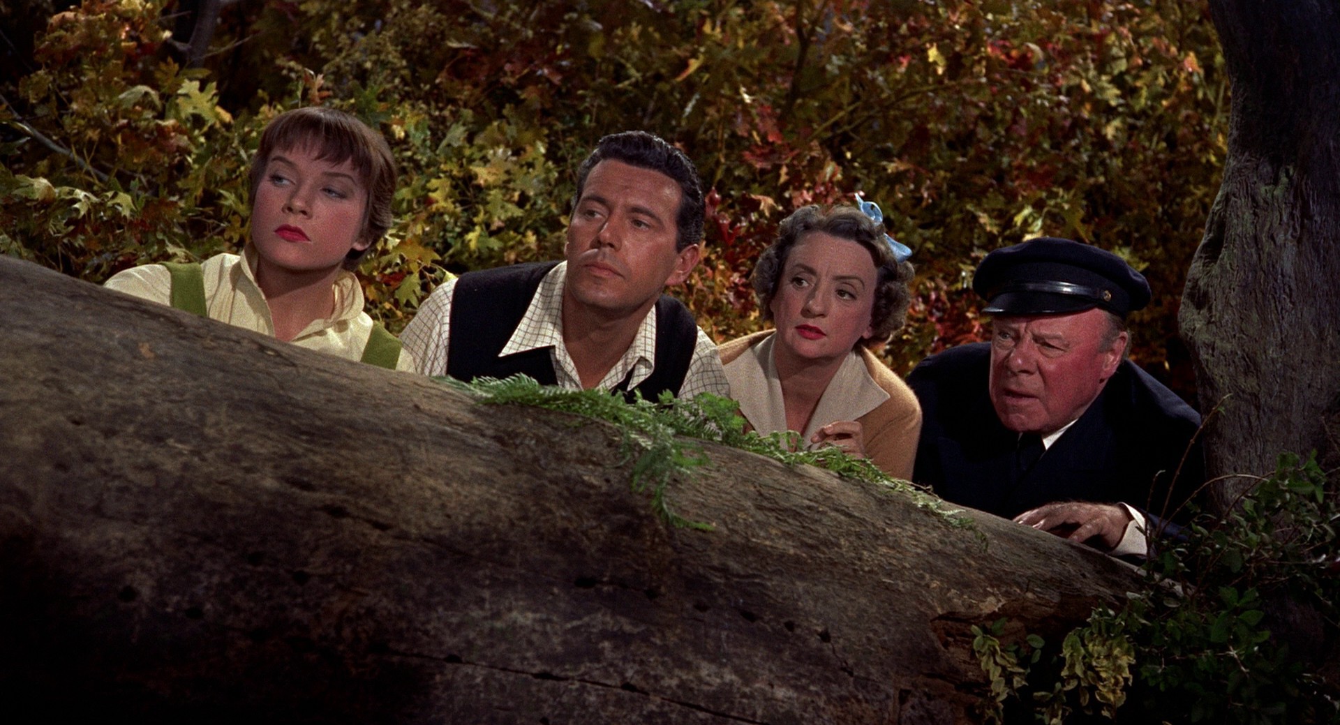 The Trouble with Harry (1955) —  shot,  lighting