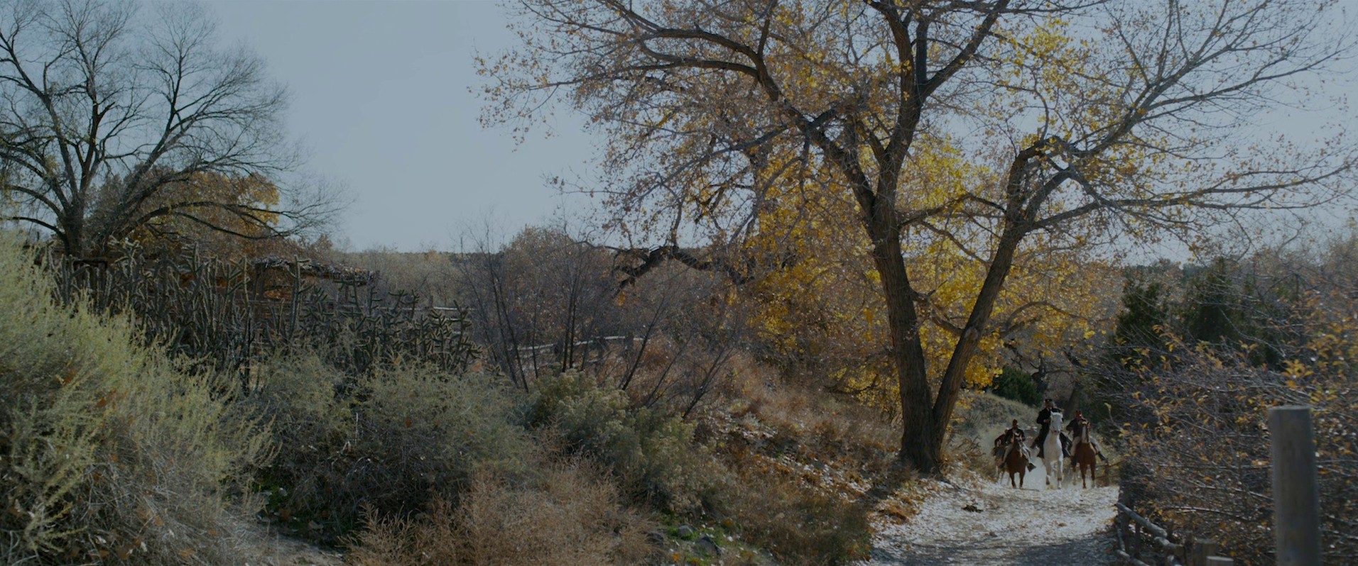 Big Kill (2019) —  shot,  lighting