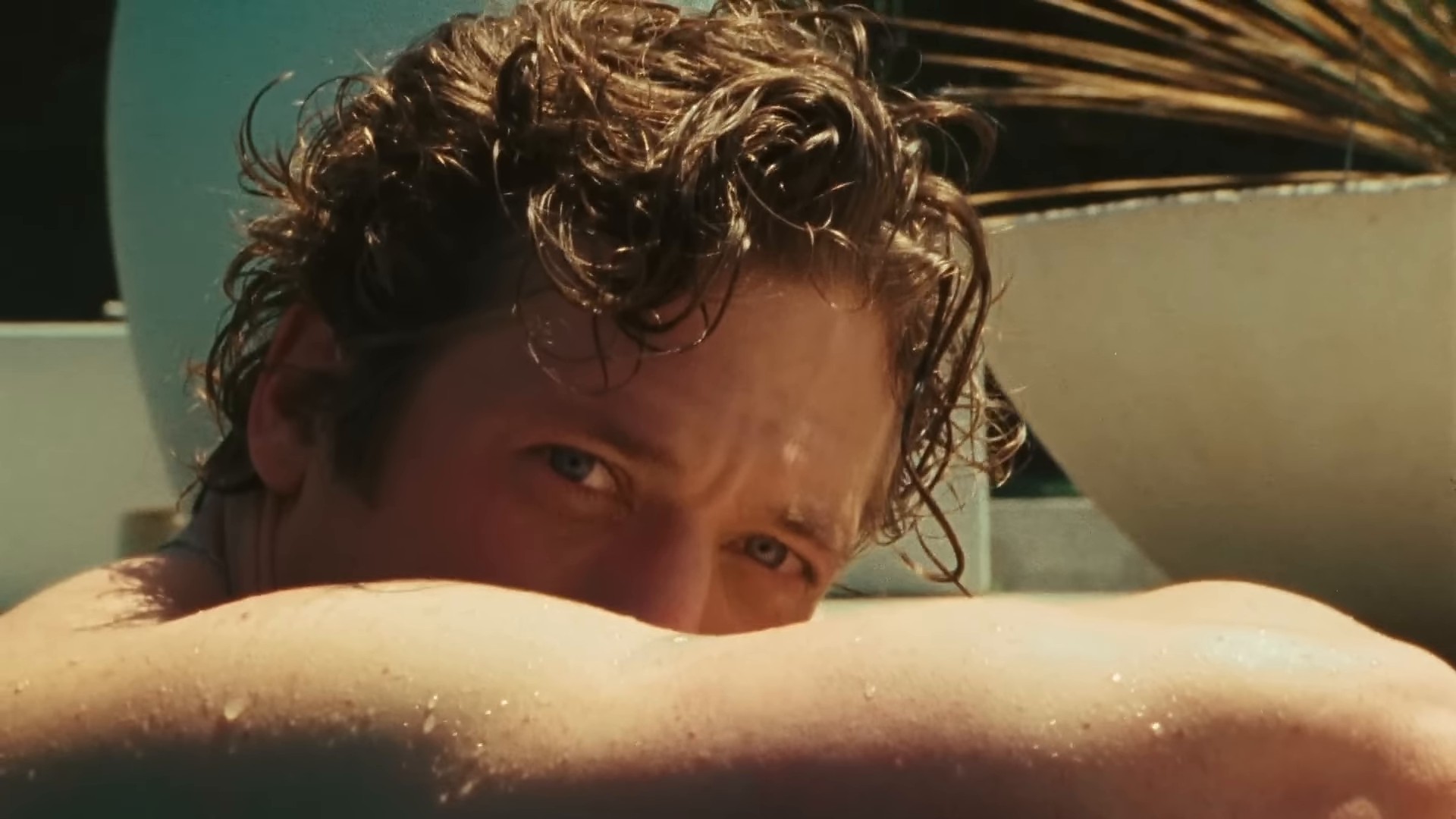 Jeremy Allen White in Calvin Klein | Fall 2024 Campaign (2024) —  shot,  lighting