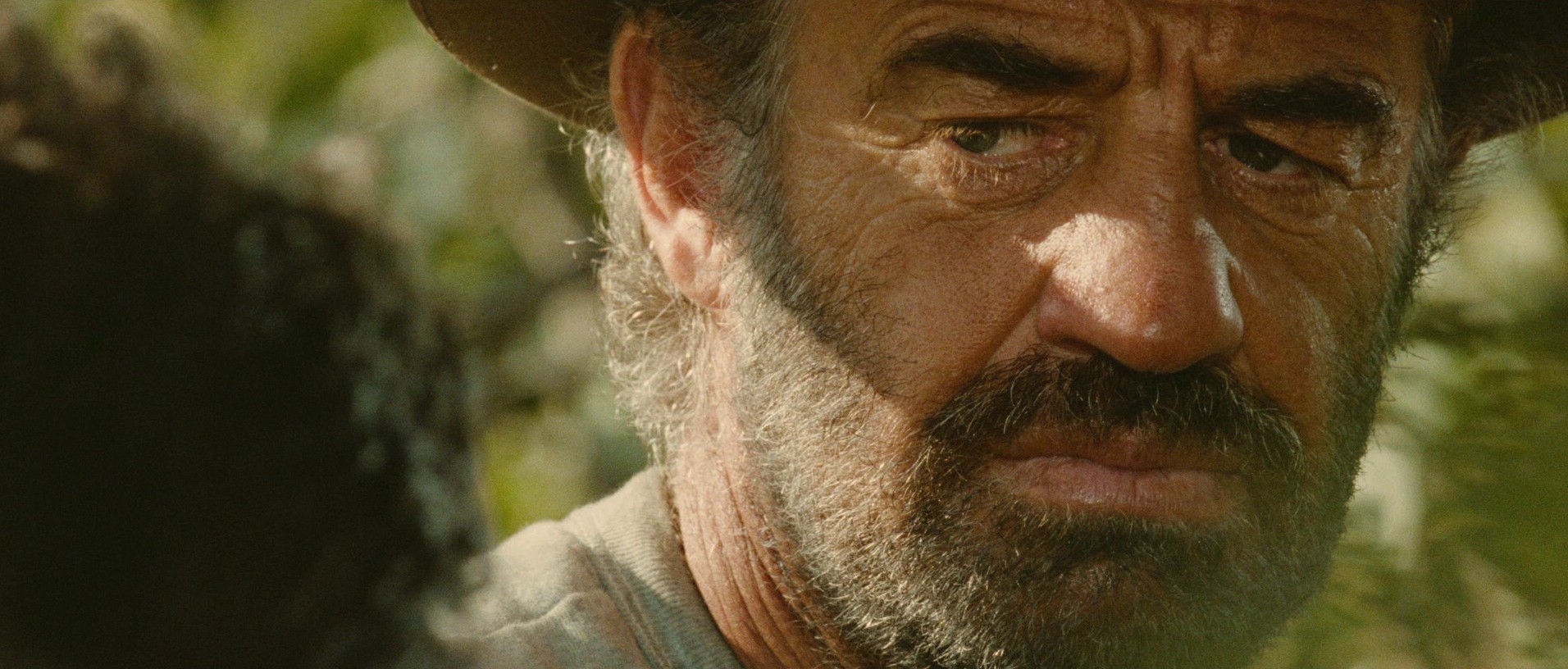 Itinéraire d'un enfant gâté (1988) —  shot,  lighting