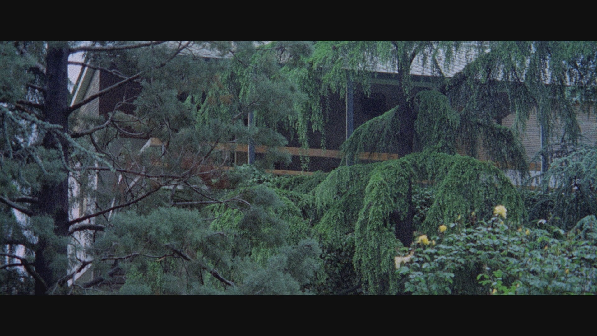 La polizia chiede aiuto (1974) —  shot,  lighting