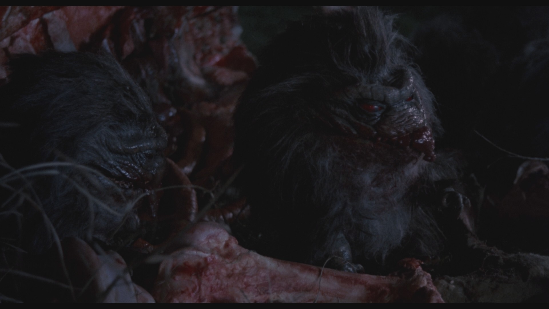 Critters 2 (1988) —  shot,  lighting