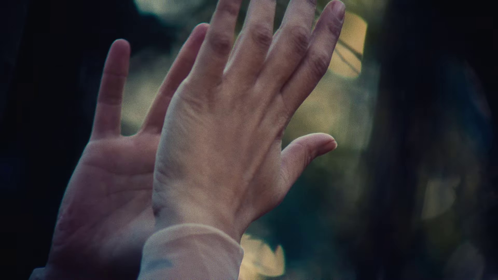 The Dream of Delphi (2024) —  shot,  lighting