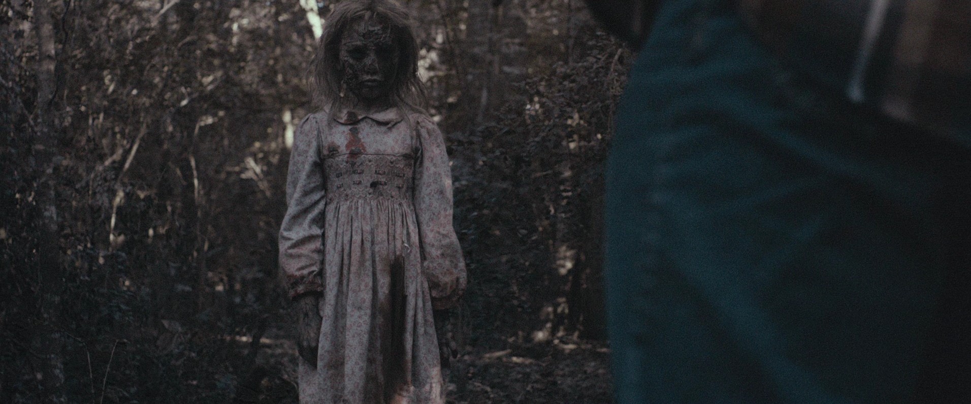 Maggie (2015) —  shot,  lighting