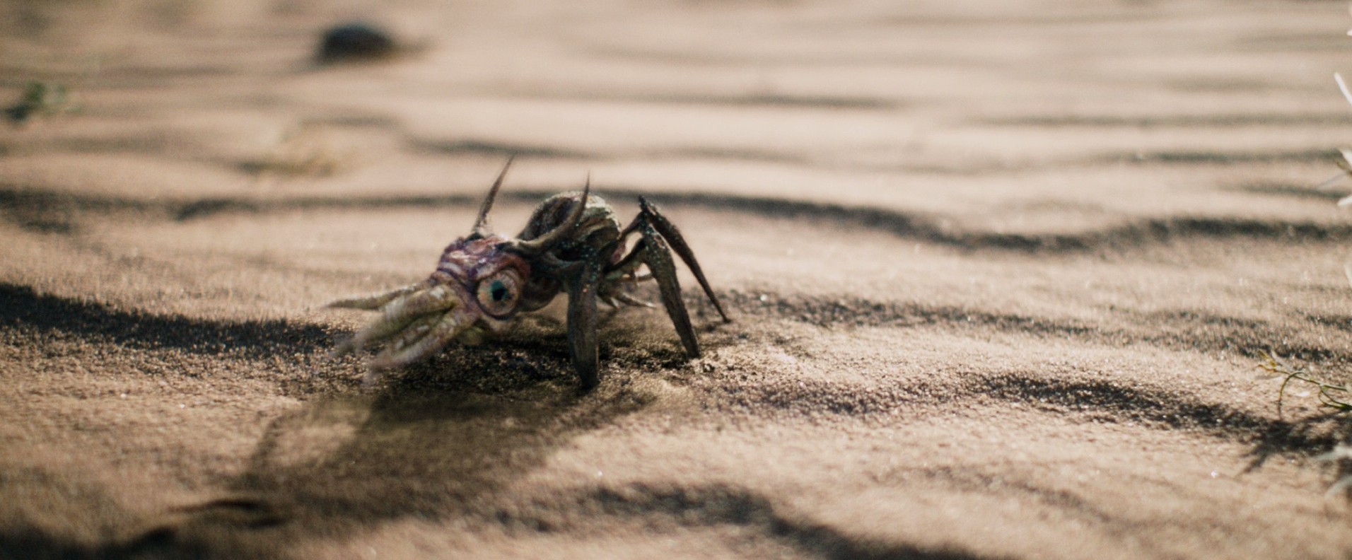 Monsters: Dark Continent (2014) —  shot,  lighting