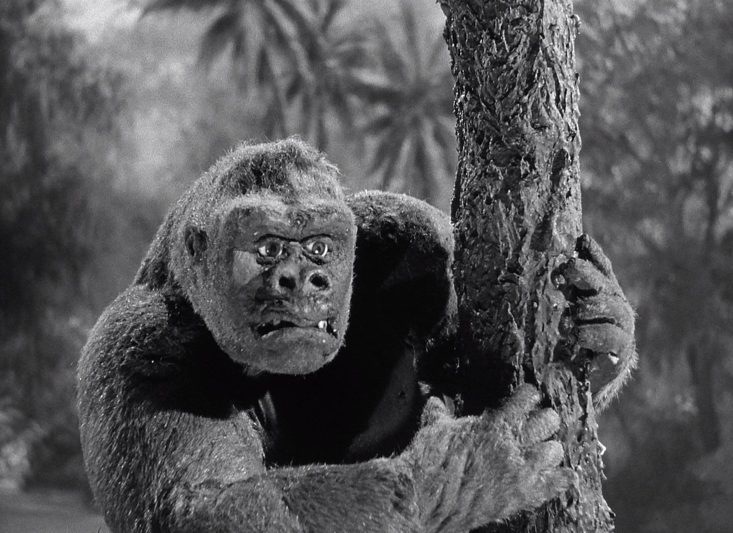 Mighty Joe Young (1949) —  shot,  lighting