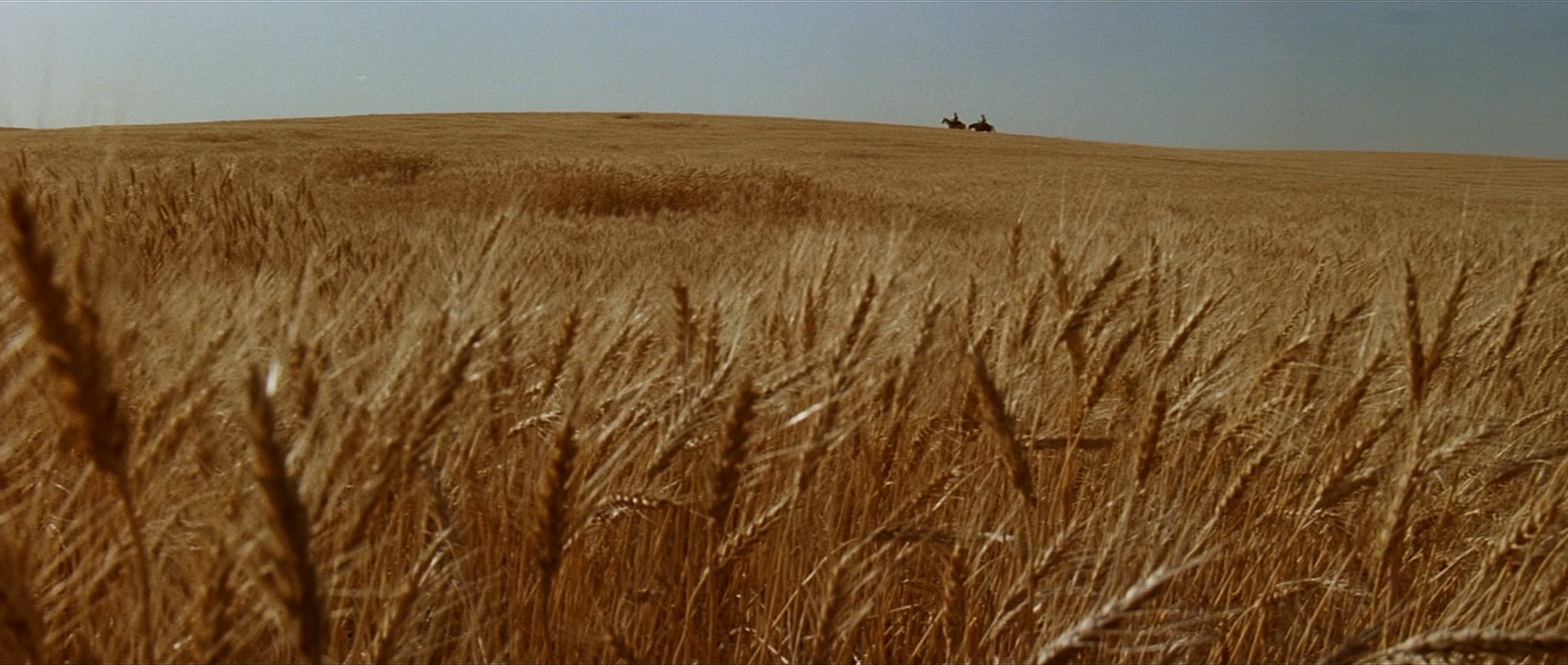 Unforgiven (1992) —  shot,  lighting