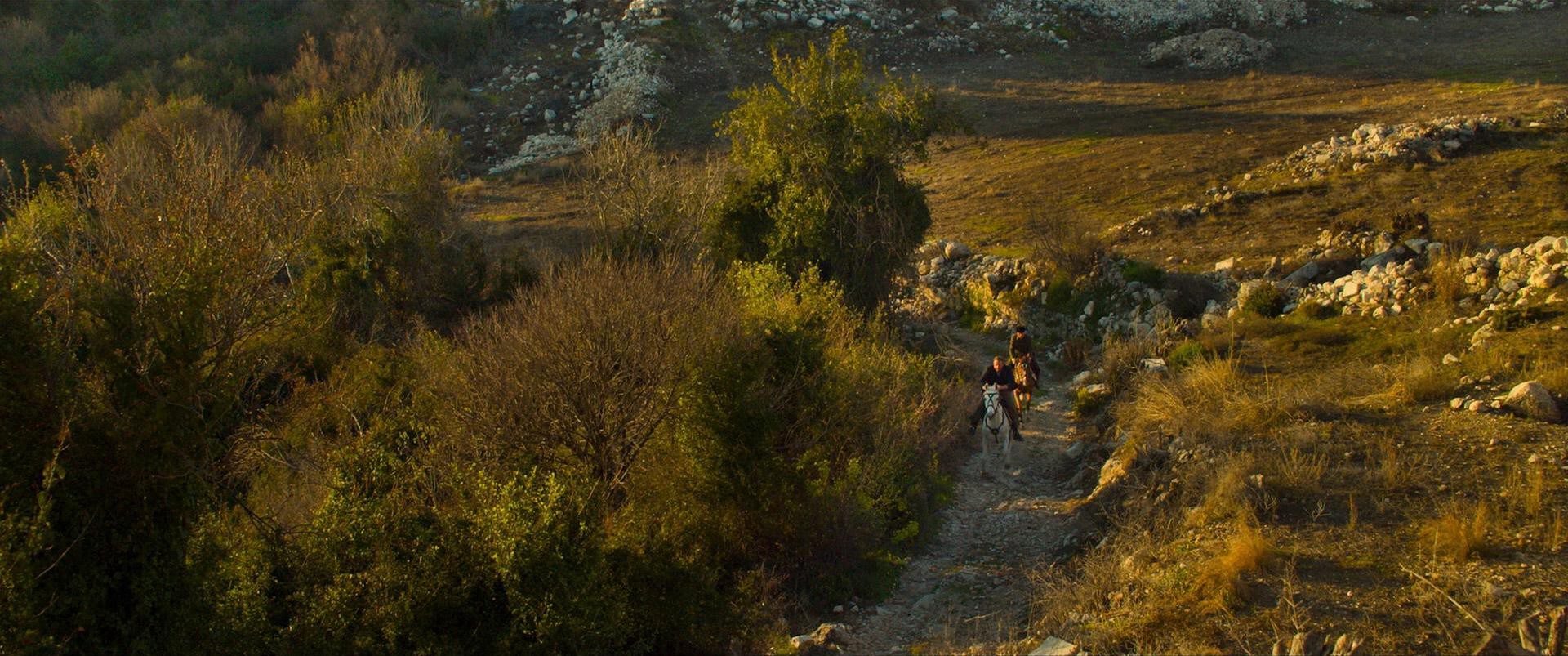 The Water Diviner (2014) —  shot,  lighting
