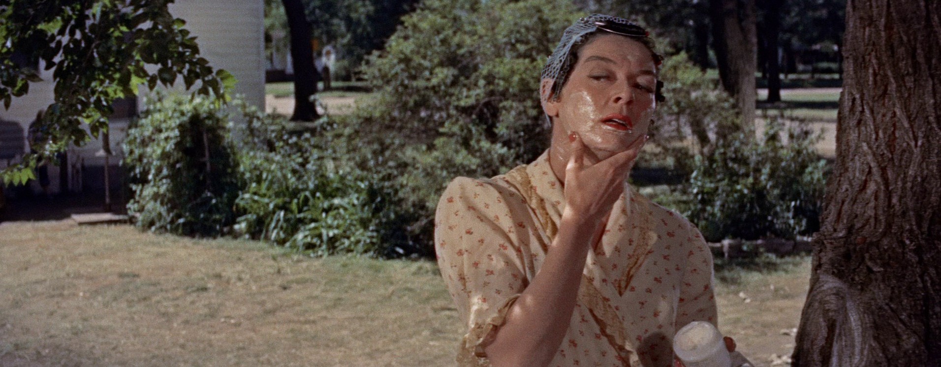 Picnic (1956) —  shot,  lighting