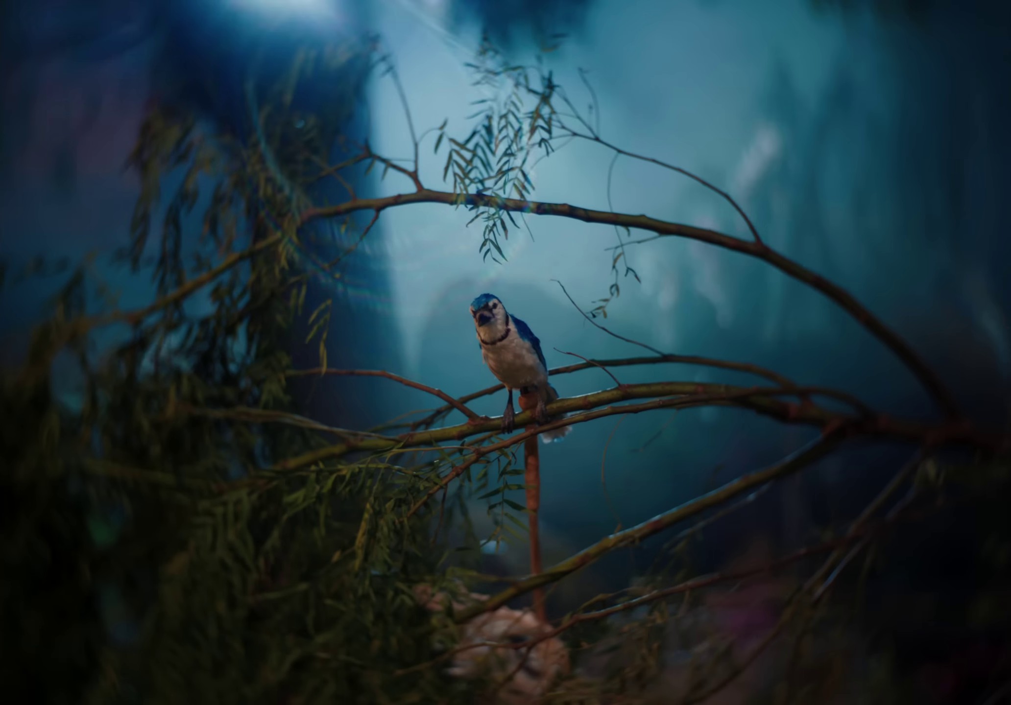 I Drink Wine (2022) —  shot,  lighting