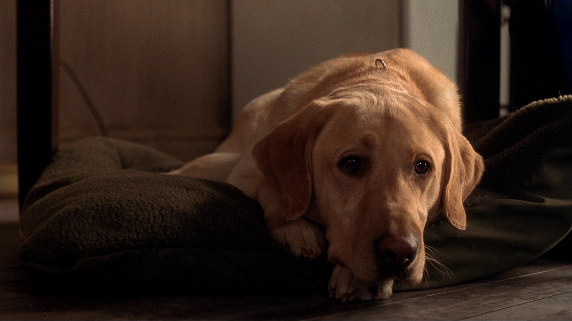 Shortcut to Happiness (2004) —  shot,  lighting