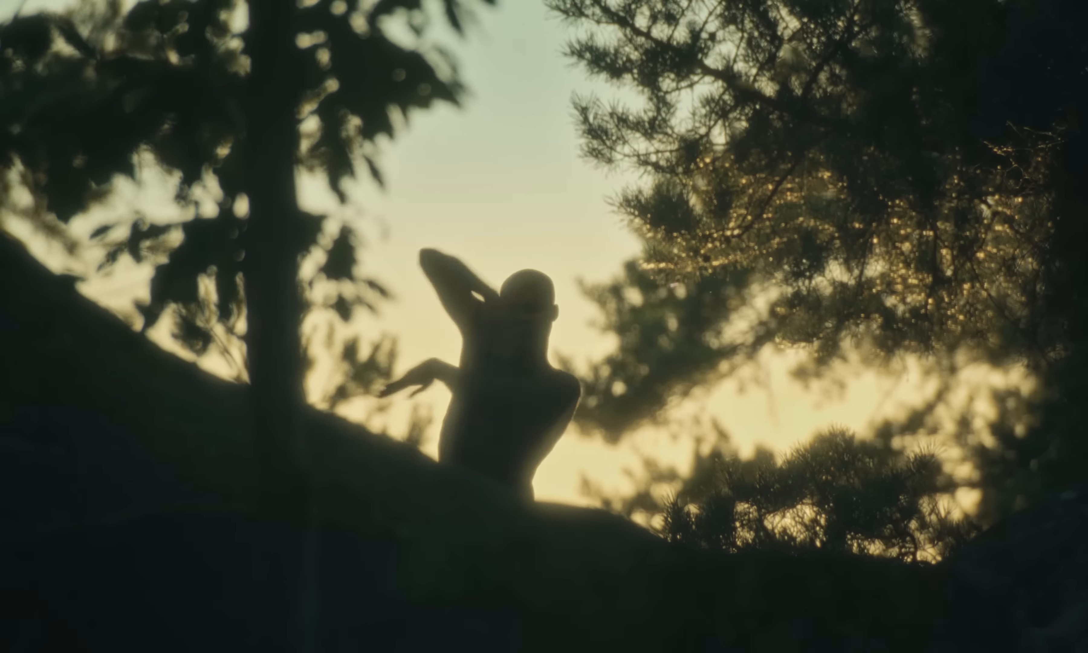 Òròkórò (2024) —  shot,  lighting