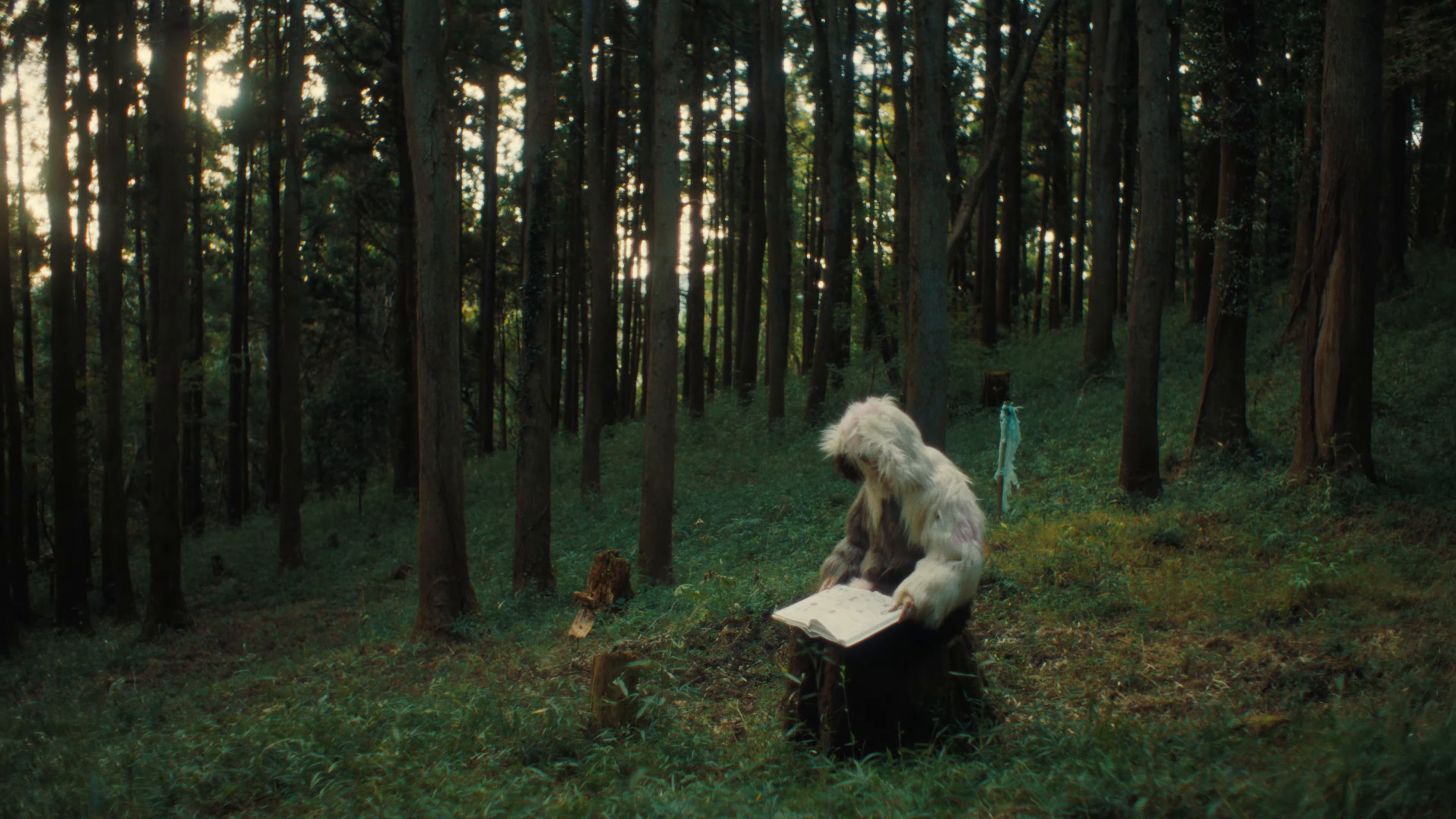 Animaru (2025) —  shot,  lighting