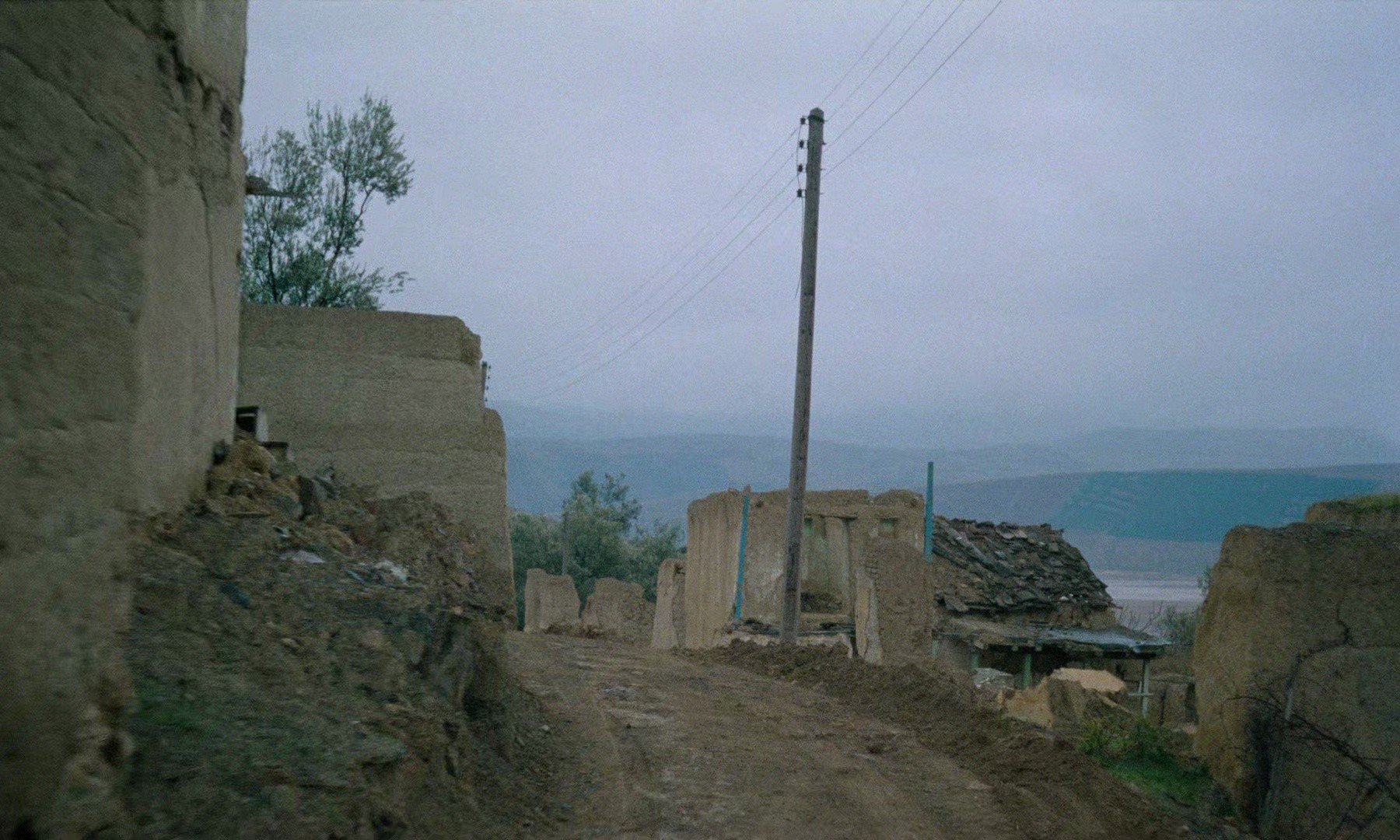 Through the Olive Trees (1995) —  shot,  lighting