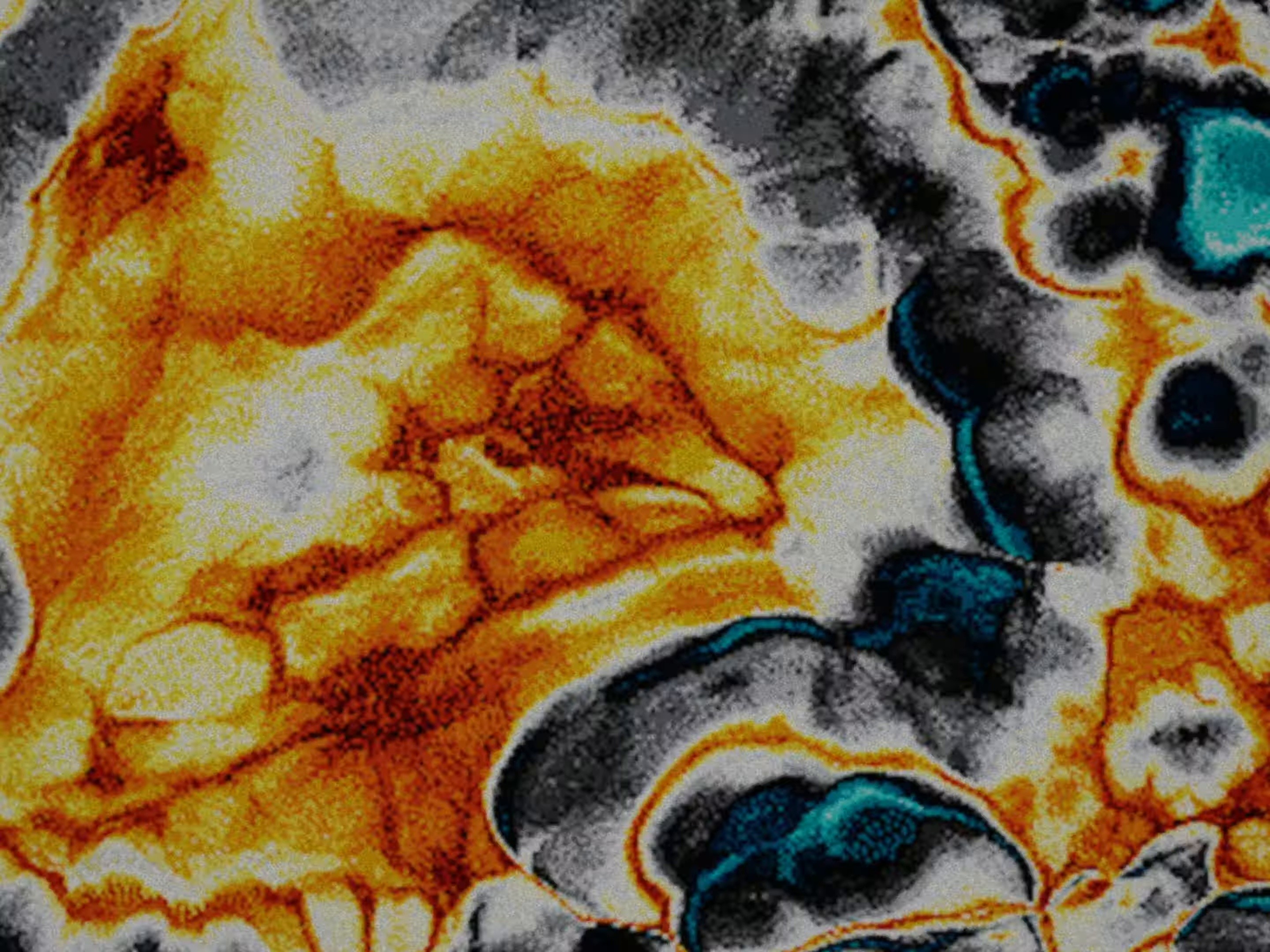 TRANSFORMANDO (2024) —  shot,  lighting