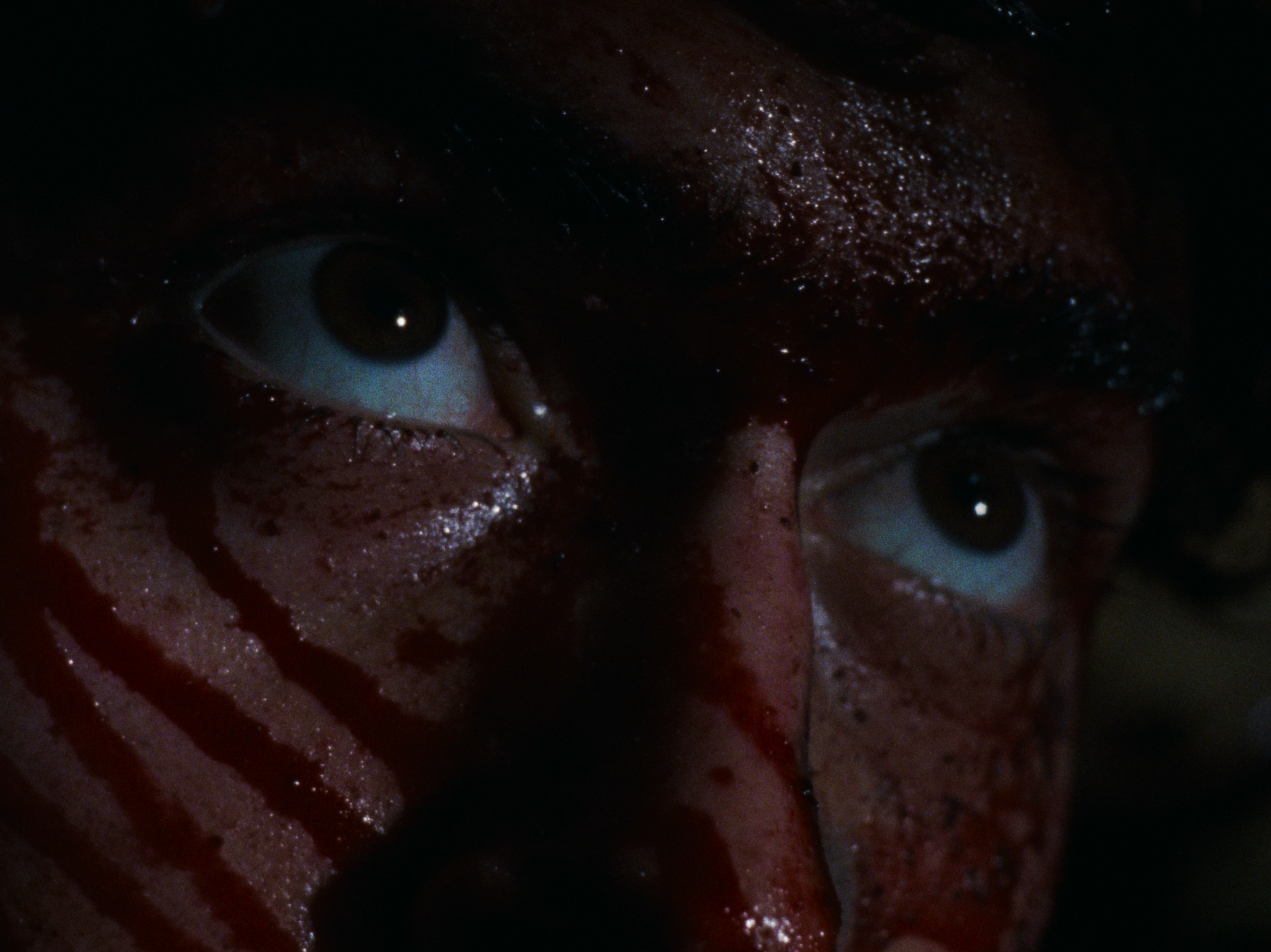 The Evil Dead (1981) —  shot,  lighting