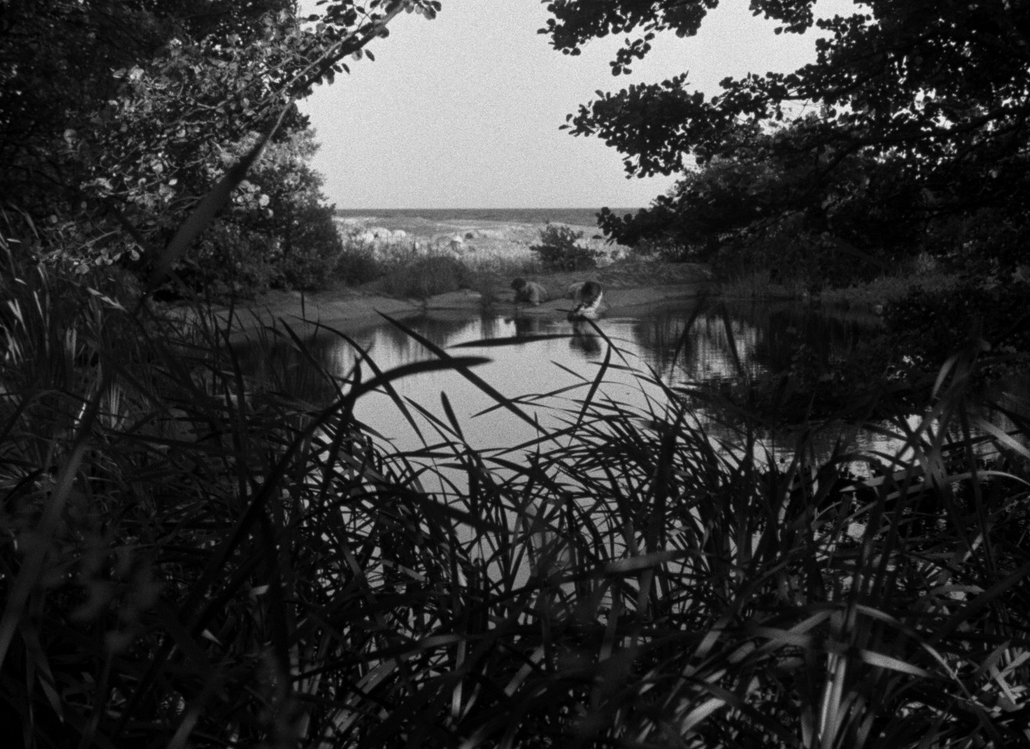 Summer with Monika (1953) —  shot,  lighting