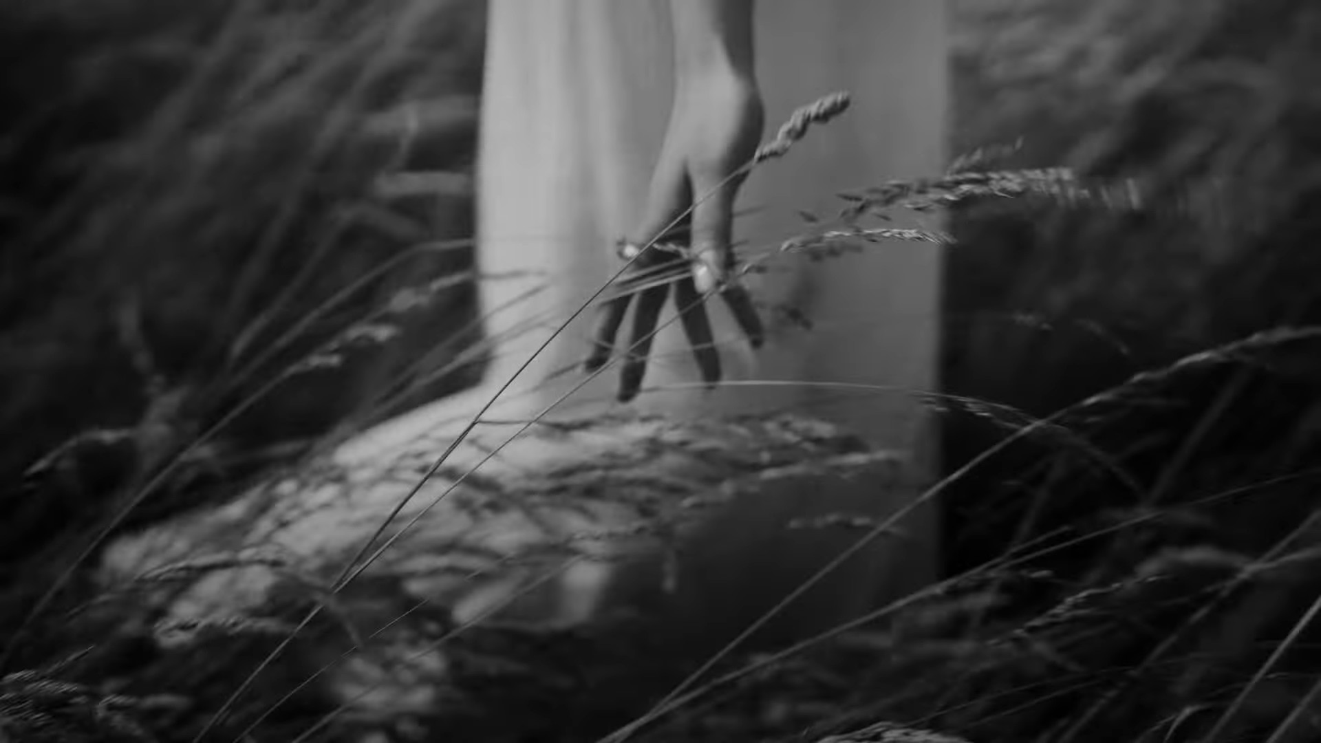 Koalas (2024) —  shot,  lighting