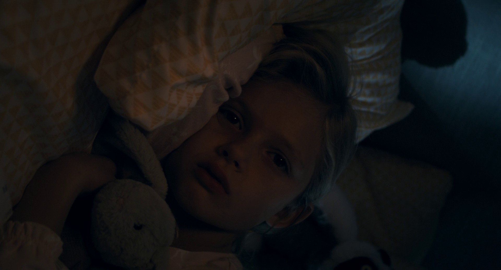 You Should Have Left (2020) —  shot,  lighting