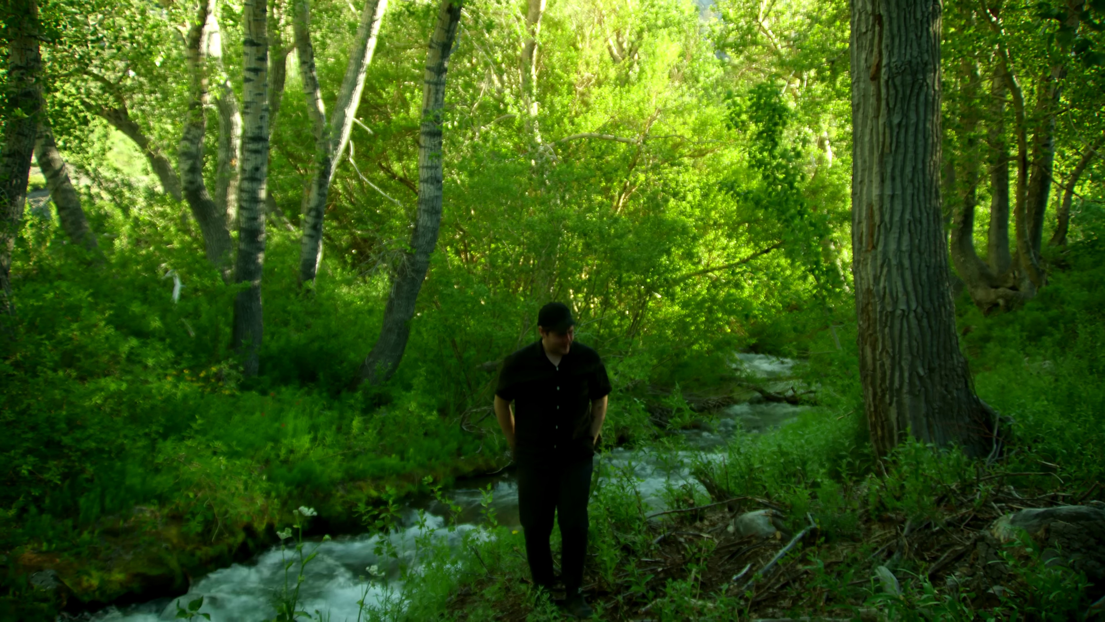 Save Some Room (2022) —  shot,  lighting