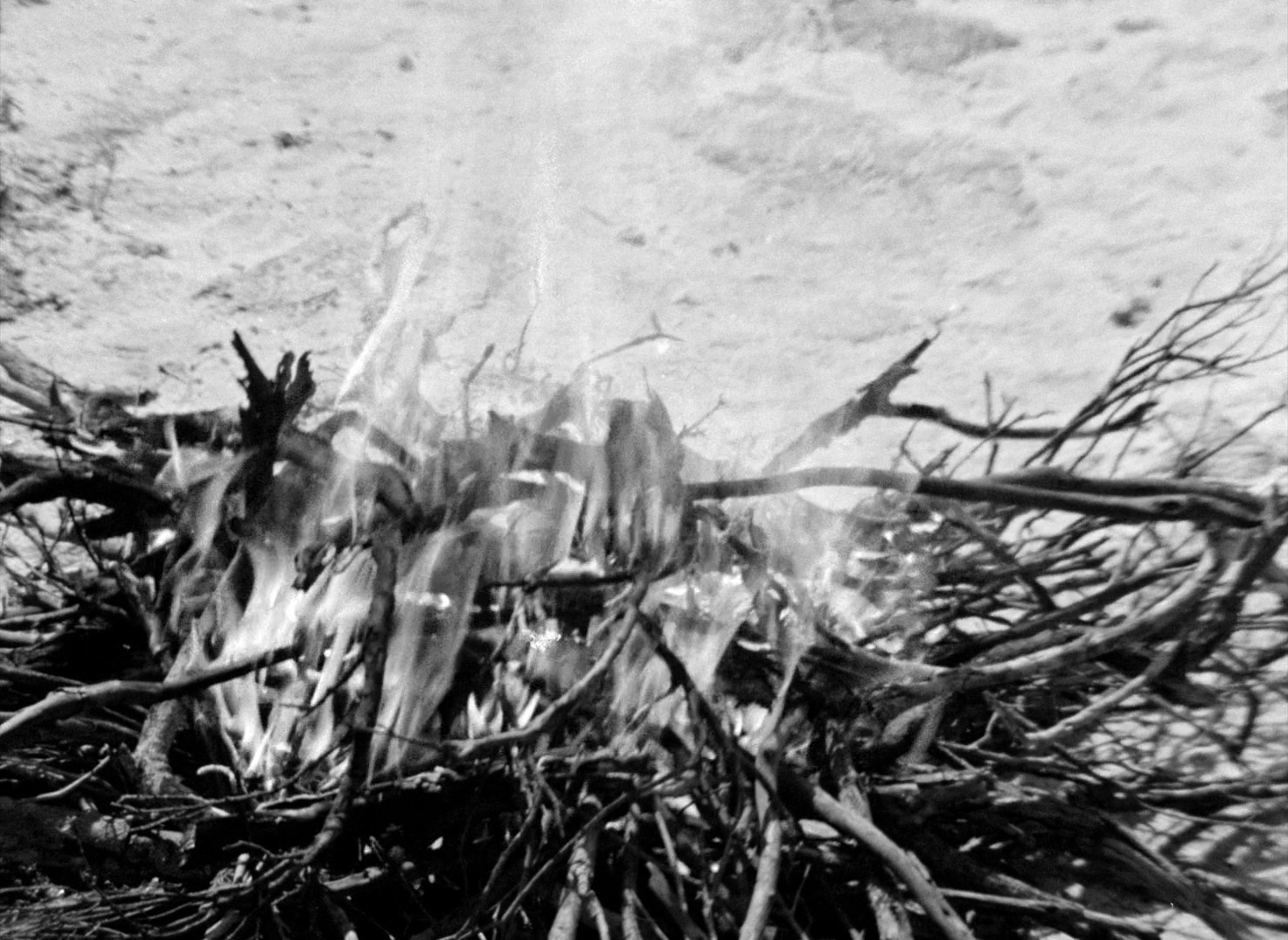 Black God, White Devil (1964) —  shot,  lighting