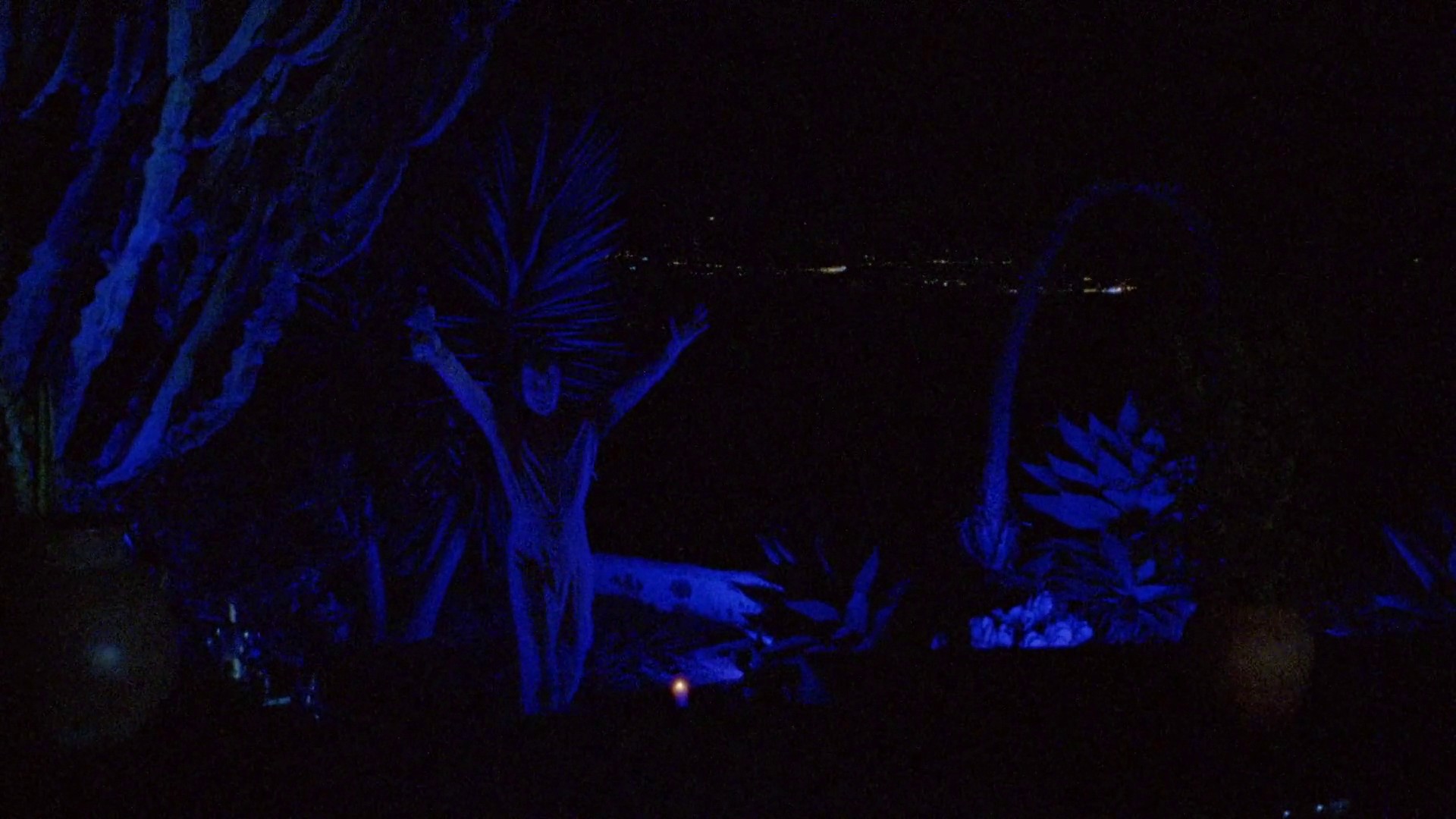 KRÓL ŻYCIA (2022) —  shot,  lighting