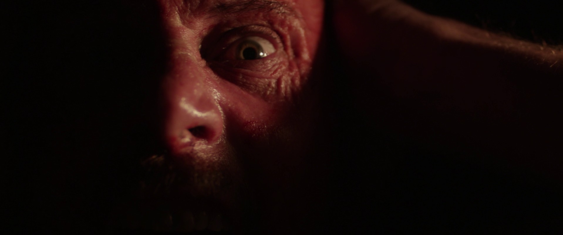 Among the Living (2014) —  shot,  lighting