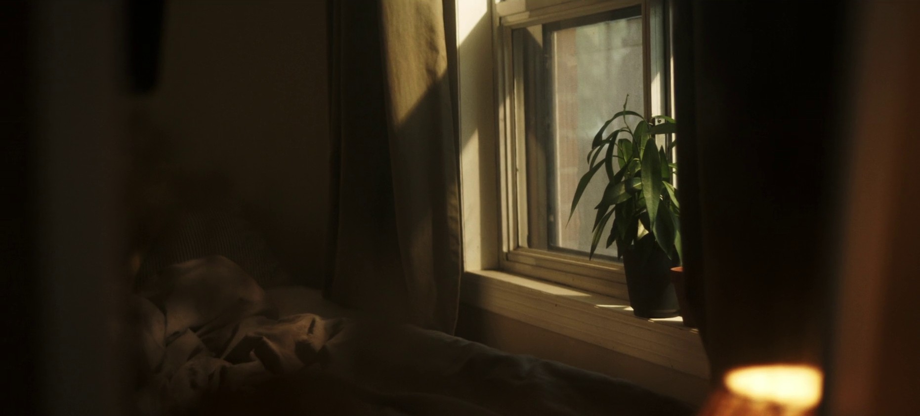 Legends  (2018) —  shot,  lighting